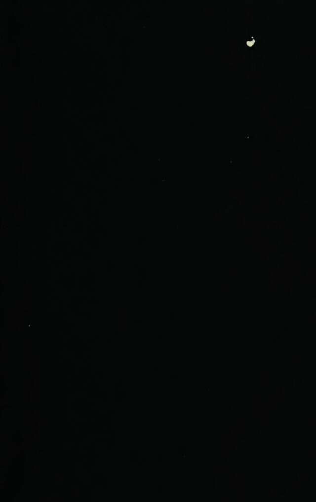 digitised image 3