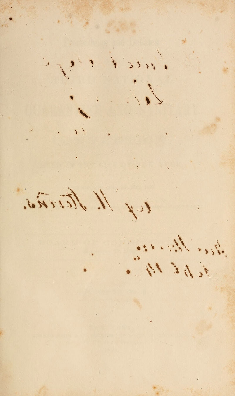 i \ ..\ •V*\\3\ \\ v,>