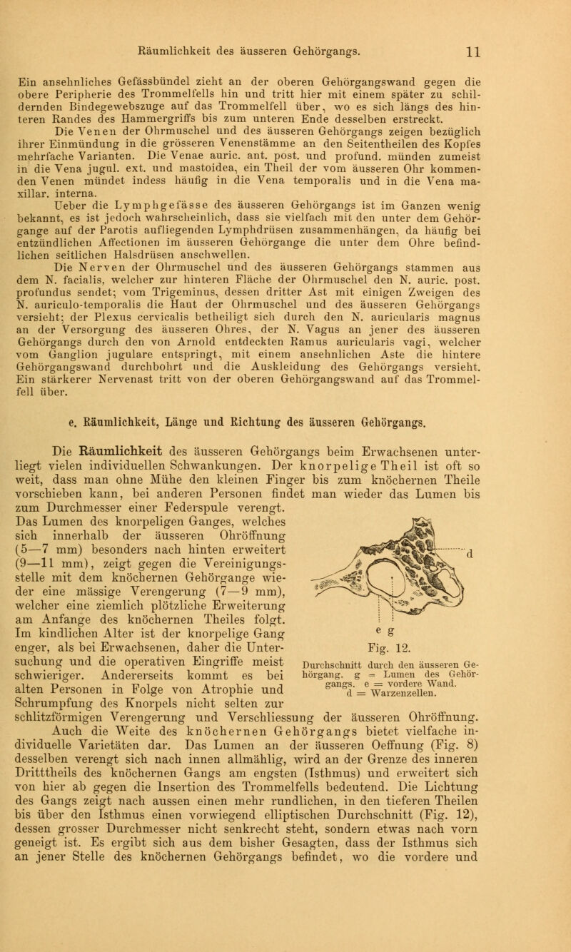 Ein ansehnliches Gefässbündel zieht an der oberen Gehörgangswand gegen die obere Peripherie des Trommelfells hin und tritt hier mit einem später zu schil- dernden Bindegewebszuge auf das Trommelfell über, wo es sich längs des hin- teren Randes des Hammergriffs bis zum unteren Ende desselben erstreckt. Die Venen der Ohrmuschel und des äusseren Gehörgangs zeigen bezüglich ihrer Einmündung in die grösseren Venenstämme an den Seitentheilen des Kopfes mehrfache Varianten. Die Venae auric. ant. post. und profund, münden zumeist in die Vena jugul. ext. und mastoidea, ein Theil der vom äusseren Ohr kommen- den Venen mündet indess häufig in die Vena temporalis und in die Vena ma- xillar. interna. Ueber die Lymphgefässe des äusseren Gehörgangs ist im Ganzen wenig bekannt, es ist jedoch wahrscheinlich, dass sie vielfach mit den unter dem Gehör- gange auf der Parotis aufliegenden Lymphdrüsen zusammenhängen, da häufig bei entzündlichen Affectionen im äusseren Gehörgange die unter dem Ohre befind- lichen seitlichen Halsdrüsen anschwellen. Die Nerven der Ohrmuschel und des äusseren Gehörgangs stammen aus dem N. facialis, welcher zur hinteren Fläche der Ohrmuschel den N. auric. post. profundus sendet; vom Trigeminus, dessen dritter Ast mit einigen Zweigen des N. auriculo-temporalis die Haut der Ohrmuschel und des äusseren Gehörgangs versieht; der Plexus cervicalis betheiligt sich durch den N. auricularis magnus an der Versorgung des äusseren Ohres, der N. Vagus an jener des äusseren Gehörgangs durch den von Arnold entdeckten Ramus auricularis vagi, welcher vom Ganglion jugulare entspringt, mit einem ansehnlichen Aste die hintere Gehörgangswand durchbohrt und die Auskleidung des Gehörgangs versieht. Ein stärkerer Nervenast tritt von der oberen Gehörgangswand auf das Trommel- fell über. e. Räumlichkeit, Länge und Richtung des äusseren Gehörgangs. Die Räumlichkeit des äusseren Gehörgangs beim Erwachsenen unter- liegt vielen individuellen Schwankungen. Der knorpelige Theil ist oft so weit, dass man ohne Mühe den kleinen Finger bis zum knöchernen Theile vorschieben kann, bei anderen Personen findet man wieder das Lumen bis zum Durchmesser einer Federspule verengt. Das Lumen des knorpeligen Ganges, welches sich innerhalb der äusseren Ohröffnung (5—7 mm) besonders nach hinten erweitert (9—11 mm), zeigt gegen die Vereinigungs- stelle mit dem knöchernen Gehörgange wie- der eine massige Verengerung (7—9 mm), welcher eine ziemlich plötzliche Erweiterung am Anfange des knöchernen Theiles folgt. Im kindlichen Alter ist der knorpelige Gang enger, als bei Erwachsenen, daher die Unter- suchung und die operativen Eingriffe meist schwieriger. Andererseits kommt es bei alten Personen in Folge von Atrophie und Schrumpfung des Knorpels nicht selten zur schlitzförmigen Verengerung und Verschliessung der äusseren Ohröffnung. Auch die Weite des knöchernen Gehörgangs bietet vielfache in- dividuelle Varietäten dar. Das Lumen an der äusseren Oeffnung (Fig. 8) desselben verengt sich nach innen allmählig, wird an der Grenze des inneren Dritttheils des knöchernen Gangs am engsten (Isthmus) und erweitert sich von hier ab gegen die Insertion des Trommelfells bedeutend. Die Lichtung des Gangs zeigt nach aussen einen mehr rundlichen, in den tieferen Theilen bis über den Isthmus einen vorwiegend elliptischen Durchschnitt (Fig. 12), dessen grosser Durchmesser nicht senkrecht steht, sondern etwas nach vorn geneigt ist. Es ergibt sich aus dem bisher Gesagten, dass der Isthmus sich an jener Stelle des knöchernen Gehörgangs befindet, wo die vordere und Durchschnitt durch den äusseren Ge- hörgang, g = Lumen des Gehör- gangs, e = vordere Wand, d = Warzenzellen.