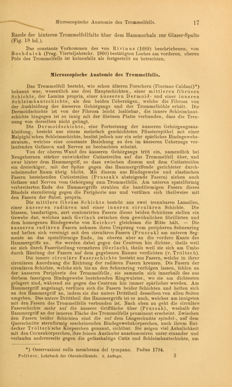 Rande der hinteren Trommelfellfalte über dem Hammerhals zur Glaser-Spalte (Fig. 18 hd.). Das eonstante Vorkommen des von Rivinus (1689) beschriebenen, von Bochdalek (Prag. Vierteljahrschr. 1866) bestätigten Loches am vorderen, oberen Pole des Trommelfells ist keinesfalls als festgestellt zu betrachten. Microscopische Anatomie des Trommelfells. Das Trommelfell besteht, wie schon älteren Forschern (Floriano Caldani)*) bekannt war, wesentlich aus drei Hauptschichten, einer mittleren fibrösen Schichte, der Lamina propria, einer äusseren Dermoid- und einer inneren Schleimhautschichte, als den beiden Ueberzügen, welche die Fibrosa von der Auskleidung des äusseren Gehörgangs und der Trommelhöhle erhält. Die Dermoidschichte ist von der Fibrosa leicht loslösbar, die innere Schleimhaut- schichte hingegen ist so innig mit der fibrösen Platte verbunden, dass die Tren- nung von derselben nicht gelingt. Die Dermoidschichte, eine Fortsetzung der äusseren Gehörgangsaus- kleidung, besteht aus einem mehrfach geschichteten Pflasterepithel mit einer Malpighi'schen Schleimschichte, besitzt jedoch nur ein sehr spärliches Bindegewebs- stratum, welches eine eonstante Beziehung zu den im äusseren Ueberzuge ver- laufenden Gefässen und Nerven zu beobachten scheint. Von der oberen Wand des äusseren Gehörgangs tritt ein, namentlich bei Neugebornen stärker entwickelter Cutisstreifen auf das Trommelfell über, und zwar hinter dem Hammergriff, so dass zwischen diesem und dem Cutisstreifen ein dreieckiger, mit der Spitze gegen das Hammergriff ende gerichteter durch- scheinender Raum übrig bleibt. Mit diesem aus Bindegewebe und elastischen Fasern bestehenden Cutisstreifen (Prussak's absteigende Fasern) ziehen auch Gefässe und Nerven vom Gehörgang zum Trommelfelle. Am unteren spateiförmig verbreiterten Ende des Hammergriffs strahlen die bandförmigen Fasern dieses Bündels sternförmig gegen die Peripherie aus und verfilzen sich theilweise mit den Fasern der Subst. propria. Die mittlere fibröse Schichte besteht aus zwei trennbaren Lamellen, einer äusseren radiären und einer inneren circulären Schichte. Die blassen, bandartigen, zart contourirten Fasern dieser beiden Schichten stellen ein Gewebe dar, welches nach Ger lach zwischen dem gewöhnlichen fibrillirten und dem homogenen Bindegewebe von Reichert gleichsam die Mitte hält. — Die äusseren radiären Fasern nehmen ihren Ursprung vom peripheren Sehnenring und heften sich vereinigt mit den circulären Fasern (Prussak) am unteren Seg- mente an das spateiförmige Ende, im oberen aber an die vordere Kante des Hammergriffs an. Sie werden dabei gegen das Centrum hin dichter, theils weil sie sich durch Fasertheilung vermehren (Gerlach), theils weil sie sich am Umbo durch Häufung der Fasern auf dem gegebenen Räume verdichten (v. Tröltsch). Die innere circuläre Faserschichte besteht aus Fasern, welche in ihrer circulären Anordnung die Richtung der radiären Fasern kreuzen. Die Fasern der circulären Schichte, welche sich bis an den Sehnenring verfolgen lassen, fehlen an der äusseren Peripherie des Trommelfells, sie sammeln sich innerhalb des aus derbem faserigem Bindegewebe bestehenden Ringwulstes, wo sie am dichtesten gelagert sind, während sie gegen das Centrum hin immer spärlicher werden. Am Hammergriff angelangt, verfilzen sich die Fasern beider Schichten und heften sich an den Hammergriff an, indem sie das untere Dritttheil desselben von allen Seiten umgeben. Das untere Dritttheil des Hammergriffs ist es auch, welches am innigsten mit den Fasern des Trommelfells verbunden ist. Nach oben zu geht die circuläre Faserschichte mehr auf die äussere Grifffläche über (Prussak), weshalb der Hammergriff an der inneren Fläche des Trommelfells prominent erscheint. Zwischen den Fasern beider Schichten sind die auf dem Längsschnitte spindel-, auf dem Querschnitte sternförmig erscheinenden Bindegewebskörperchen, nach ihrem Ent- decker Tröltsch'sche Körperchen genannt, sichtbar. Sie zeigen viel Aehnlichkeit mit den Corneakörperchen, ihre feinen Ausläufer anastomosiren unter einander und verlaufen andererseits gegen die gefässhaltige Cutis und Schleimhautschichte, um *) Osservazioni sulla membrana del tympano. Padua 1794. Politzer, Lehrbuch der Ohrenheilkunde. 2. Auflage.