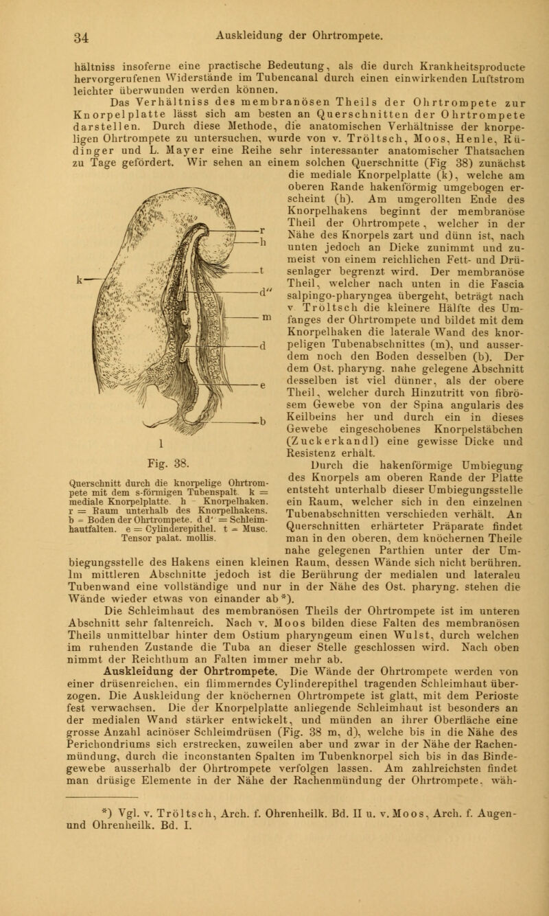 hältniss insoferne eine practische Bedeutung, als die durch Krankheitsproducte hervorgerufenen Widerstände im Tubencanal durch einen einwirkenden Luftstrom leichter überwunden werden können. Das Verhältniss des membranösen Theils der Ohrtrompete zur Knorpel platte lässt sich am besten an Querschnitten der Ohrtrompete darstellen. Durch diese Methode, die anatomischen Verhältnisse der knorpe- ligen Ohrtrompete zu untersuchen, wurde von v. Tröltsch, Moos, Henle, Rü- dinger und L. Mayer eine Reihe sehr interessanter anatomischer Thatsachen zu Tage gefördert. Wir sehen an einem solchen Querschnitte (Fig 38) zunächst die mediale Knorpelplatte (k), welche am oberen Rande hakenförmig umgebogen er- scheint (h). Am umgerollten Ende des Knorpelhakens beginnt der membranöse Theil der Ohrtrompete , welcher in der Nähe des Knorpels zart und dünn ist, nach unten jedoch an Dicke zunimmt und zu- meist von einem reichlichen Fett- und Drü- senlager begrenzt wird. Der membranöse Theil. welcher nach unten in die Fascia salpingo-pharyngea übergeht, beträgt nach v Tröltsch die kleinere Hälfte des Um- langes der Ohrtrompete und bildet mit dem Knorpelhaken die laterale Wand des knor- peligen Tubenabschnittes (m), und ausser- dem noch den Boden desselben (b). Der dem Ost. pharj-ng. nahe gelegene Abschnitt desselben ist viel dünner, als der obere Theil, welcher durch Hinzutritt von fibrö- sem Gewebe von der Spina angularis des Keilbeins her und durch ein in dieses Gewebe eingeschobenes Knorpelstäbchen (Zuck erkandl) eine gewisse Dicke und Resistenz erhält. Durch die hakenförmige Umbiegung des Knorpels am oberen Rande der Platte entsteht unterhalb dieser Umbiegungsstelle ein Raum, welcher sich in den einzelnen Tubenabschnitten verschieden verhält. An Querschnitten erhärteter Präparate findet man in den oberen, dem knöchernen Theile nahe gelegenen Parthien unter der Um- biegungsstelle des Hakens einen kleinen Raum, dessen Wände sich nicht berühren. Im mittleren Abschnitte jedoch ist die Berührung der medialen und lateraleu Tubenwand eine vollständige und nur in der Nähe des Ost. pharyng. stehen die Wände wieder etwas von einander ab*). Die Schleimhaut des membranösen Theils der Ohrtrompete ist im unteren Abschnitt sehr faltenreich. Nach v. Moos bilden diese Falten des membranösen Theils unmittelbar hinter dem Ostium pharyngeum einen Wulst, durch welchen im ruhenden Zustande die Tuba an dieser Stelle geschlossen wird. Nach oben nimmt der Reichthum an Falten immer mehr ab. Auskleidung der Ohrtrompete. Die Wände der Ohrtrompete werden von einer drüsenreichen, ein flimmerndes Cylinderepithel tragenden Schleimhaut über- zogen. Die Auskleidung der knöchernen Ohrtrompete ist glatt, mit dem Perioste fest verwachsen. Die der Knorpelplatte anliegende Schleimhaut ist besonders an der medialen Wand stärker entwickelt, und münden an ihrer Oberfläche eine grosse Anzahl acinöser Schleimdrüsen (Fig. 38 m, d), welche bis in die Nähe des Perichondriums sich erstrecken, zuweilen aber und zwar in der Nähe der Rachen- mündung, durch die inconstanten Spalten im Tubenknorpel sich bis in das Binde- gewebe ausserhalb der Ohrtrompete verfolgen lassen. Am zahlreichsten findet man drüsige Elemente in der Nähe der Rachenmündung der Ohrtrompete, wäh- Fig. 38. Querschnitt durch die knorpelige Ohrtrom- pete mit dem s-förmigen Tubenspalt, k = mediale Knorpelplatte, h - Knorpelhaken, r = Baum unterhalb des Knorpelhakens, b = Boden der Ohrtrompete, dd' = Schleim- hautfalten, e = Cylinderepithel. t = Muse. Tensor palat. mollis. *) Vgl. v. Tröltsch, Arch. f. Ohrenheilk. Bd. II u. v. Moos, Arch. f. Augen- und Ohrenheilk. Bd. I.