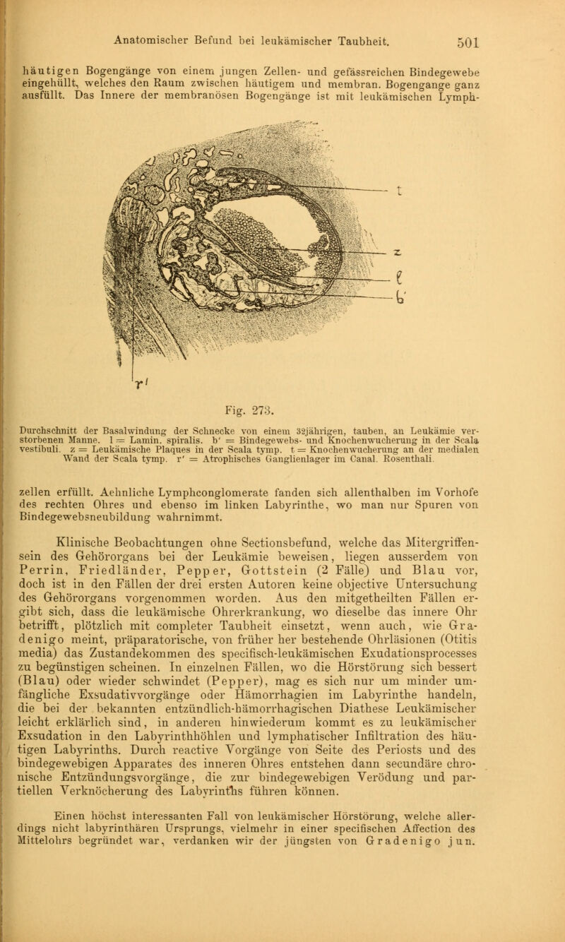 häutigen Bogengänge von einem jungen Zellen- und gefässreichen Bindegewebe eingehüllt, welches den Raum zwischen häutigem und membran. Bogengänge ganz ausfüllt. Das Innere der membranösen Bogengänge ist mit leukämischen Lymph- Fig. 273. Durchschnitt der Basalwindung der Schnecke von einem 32jährigen, tauben, an Leukämie ver- storbenen Manne. 1 = Lamin. spiralis. b' = Bindegewebs- und Knochenwucherung in der Scala vestibuli. z = Leukämische Plaques in der Scala tymp. t = Knochenwucherung an der medialen Wand der Scala tymp. r' = Atrophisches Ganglienlager im Canal. Rosenthali. zellen erfüllt. Aehnliche Lymphconglomerate fanden sich allenthalben im Vorhofe des rechten Ohres und ebenso im linken Labyrinthe, wo man nur Spuren von Bindegewebsneubildung wahrnimmt. Klinische Beobachtungen ohne Sectionsbefund, welche das Mitergriften- sein des Gehörorgans bei der Leukämie beweisen, liegen ausserdem von Perrin, Friedländer, Pepper, Gottstein (2 Fälle) und Blau vor, doch ist in den Fällen der drei ersten Autoren keine objective Untersuchung des Gehörorgans vorgenommen worden. Aus den mitgetheilten Fällen er- gibt sich, dass die leukämische Ohrerkrankung, wo dieselbe das innere Ohr betrifft, plötzlich mit completer Taubheit einsetzt, wenn auch, wie Gra- denigo meint, präparatorische, von früher her bestehende Ohrläsionen (Otitis media) das Zustandekommen des specifisch-leukämischen Exudationsprocesses zu begünstigen scheinen. In einzelnen Fällen, wo die Hörstörung sich bessert (Blau) oder wieder schwindet (Pepper), mag es sich nur um minder um- fängliche Exsudativvorgänge oder Hämorrhagien im Labyrinthe handeln, die bei der bekannten entzündlich-hämorrhagischen Diathese Leukämischer leicht erklärlich sind, in anderen hinwiederum kommt es zu leukämischer Exsudation in den Labyrinthhöhlen und lymphatischer Infiltration des häu- tigen Labyrinths. Durch reactive Vorgänge von Seite des Periosts und des bindegewebigen Apparates des inneren Ohres entstehen dann secundäre chro- nische Entzündungsvorgänge, die zur bindegewebigen Verödung und par- tiellen Verknöcherung des Labyrintlis führen können. Einen höchst interessanten Fall von leukämischer Hörstörung, welche aller- dings nicht labyrinthären Ursprungs, vielmehr in einer specifischen Affection des Mittelohrs begründet war, verdanken wir der jüngsten von Gradenigo jun.