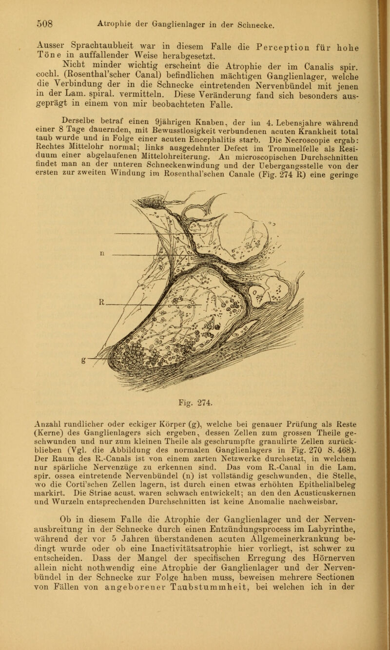 Ausser Sprachtaubheit war in diesem Falle die Perception für hohe Töne in auffallender Weise herabgesetzt. Nicht minder wichtig erscheint die Atrophie der im Canalis spir. cochl. (Rosenthal'scher Canal) befindlichen mächtigen Ganglienlager, welche die Verbindung der in die Schnecke eintretenden Nervenbündel mit jenen in der Lam. spiral. vermitteln. Diese Veränderung fand sich besonders aus- geprägt in einem von mir beobachteten Falle. Derselbe betraf einen 9jährigen Knaben, der im 4. Lebensjahre während einer 8 Tage dauernden, mit Bewusstlosigkeit verbundenen acuten Krankheit total taub wurde und in Folge einer acuten Encephalitis starb. Die Necroscopie ergab: Rechtes Mittelohr normal; links ausgedehnter Defect im Trommelfelle als Resi- duum einer abgelaufenen Mittelohreiterung. An microscopischen Durchschnitten findet man an der unteren Schneckenwindung und der Uebergangsstelle von der ersten zur zweiten Windung im Rosenthal'schen Canale (Fig. 274 R) eine geringe Fig. 274. Anzahl rundlicher oder eckiger Körper (g), welche bei genauer Prüfung als Reste (Kerne) des Ganglienlagers sich ergeben, dessen Zellen zum grossen Theile ge- schwunden und nur zum kleinen Theile als geschrumpfte granulirte Zellen zurück- blieben (Vgl. die Abbildung des normalen Ganglienlagers in Fig. 270 S. 468). Der Raum des R.-Canals ist von einem zarten Netzwerke durchsetzt, in welchem nur spärliche Nervenzüge zu erkennen sind. Das vom R.-Canal in die Lam. spir. ossea eintretende Nervenbündel (n) ist vollständig geschwunden, die Stelle, wo die Corti'schen Zellen lagern, ist durch einen etwas erhöhten Epithelial beleg markirt. Die Striae acust. waren schwach entwickelt; an den den Acusticuskernen und Wurzeln entsprechenden Durchschnitten ist keine Anomalie nachweisbar. Ob in diesem Falle die Atrophie der Ganglienlager und der Nerven- ausbreitung in der Schnecke durch einen Entzündungsprocess im Labyrinthe, während der vor 5 Jahren überstandenen acuten Allgemeinerkrankung be- dingt wurde oder ob eine Inactivitätsatrophie hier vorliegt, ist schwer zu entscheiden. Dass der Mangel der specinschen Erregung des Hörnerven allein nicht nothwendig eine Atrophie der Ganglienlager und der Nerven- bündel in der Schnecke zur Folge haben muss, beweisen mehrere Sectionen von Fällen von angeborener Taubstummheit, bei welchen ich in der