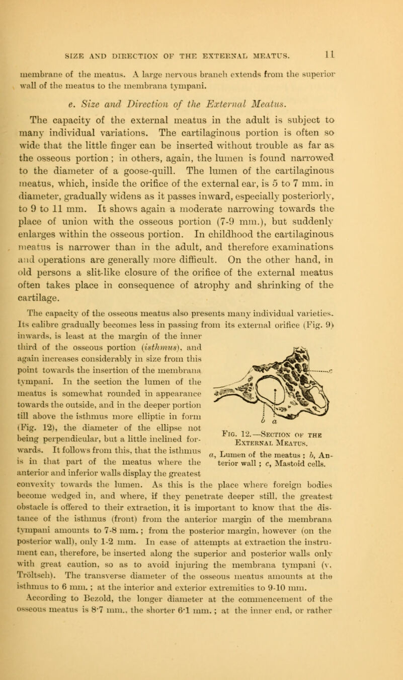 membrane of the meatus. A large nervous branch extends from the superior wall of the meatus to the membrana tympani. e. Size and Direction of the External Meatus. The capacity of the external meatus in the adult is subject to many individual variations. The cartilaginous portion is often so wide that the little finger can be inserted without trouble as far as the osseous portion ; in others, again, the lumen is found narrowed to the diameter of a goose-quill. The lumen of the cartilaginous meatus, which, inside the orifice of the external ear, is 5 to 7 mm. in diameter, gradually widens as it passes inward, especially posteriorly, to 9 to 11 mm. It shows again a moderate narrowing towards the place of union with the osseous portion (7-9 mm.), but suddenly enlarges within the osseous portion. In childhood the cartilaginous meatus is narrower than in the adult, and therefore examinations and operations are generally more difficult. On the other hand, in old persons a slit-like closure of the orifice of the external meatus often takes place in consequence of atrophy and shrinking of the cartilage. The capacity of the osseous meatus also presents many individual varieties. Its calibre gradually becomes less in passing from its external orifice (Fig. 9> inwards, is least at the margin of the inner third of the osseous portion (istJnnus). and again increases considerably in size from this point towards the insertion of the membrana tympani. In the section the lumen of the meatus is somewhat rounded in appearance towards the outside, and in the deeper portion till above the isthmus more elliptic in form (Fig. 12), the diameter of the ellipse not being perpendicular, but a little inclined for- External MeItob.™* wards. It follows from this, that the isthmus „ T m ■ , ., . 7 . «, .Lumen or the meatus ; b, Ari- ls m that part of the meatus where the terior wall ; c, Mastoid cells, anterior and inferior walls display the greatest convexity towards the lumen. As this is the place where foreign bodies become wedged in, and where, if they penetrate deeper still, the greatest obstacle is offered to their extraction, it is important to know that the dis- tance of the isthmus (front) from the anterior margin of the membrana tympani amounts to 7-8 mm. ; from the posterior margin, however (on the posterior wall), only 1-2 mm. In case of attempts at extraction the instru- ment can, therefore, be inserted along the superior and posterior walls only with great caution, so as to avoid injuring the membrana tympani (v, Troltsch). The transverse diameter of the osseous meatus amounts at the isthmus to 6 mm.; at the interior and exterior extremities to 9-10 mm. According to Bezold, the longer diameter at the commencement of the osseous meatus is B'7 mm., the shorter (>•! nun. ; at the inner end. or rather