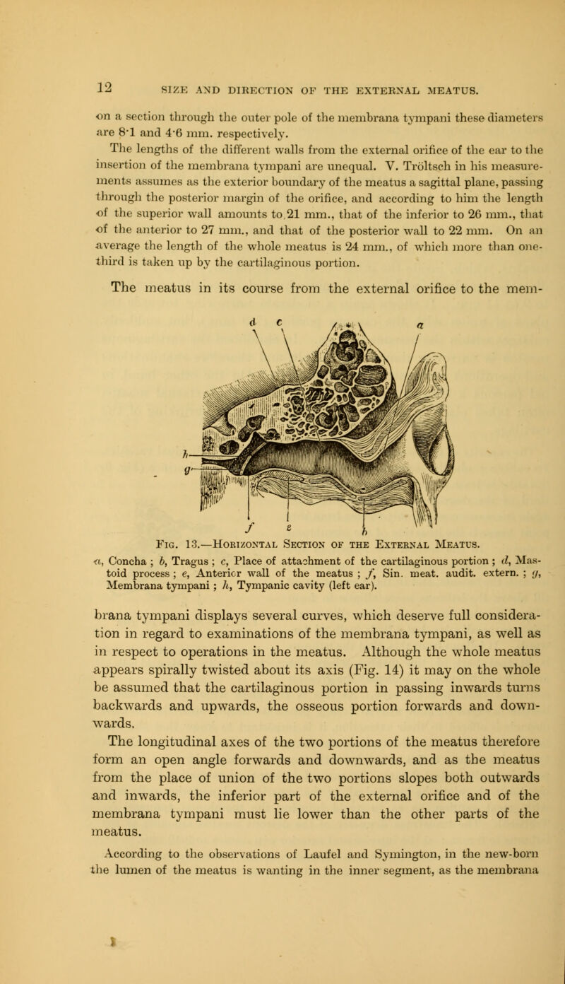 on a section through the outer pole of the membrana tympani these diameters are 8*1 and 4'6 mm. respectively. The lengths of the different walls from the external orifice of the ear to the insertion of the membrana tympani are unequal. V. Troltsch in his measure- ments assumes as the exterior boundary of the meatus a sagittal plane, passing through the posterior margin of the orifice, and according to him the length of the superior wall amounts to.21 mm., that of the inferior to 26 mm., that of the anterior to 27 mm., and that of the posterior wall to 22 mm. On an average the length of the whole meatus is 24 mm., of which more than one- third is taken up by the cartilaginous portion. The meatus in its course from the external orifice to the mem- Fig. 13.—Horizontal Section of the External Meatus. «, Concha ; b, Tragus ; c, Place of attachment of the cartilaginous portion ; d, Mas- toid process ; e, Anterior wall of the meatus ; /, Sin. meat, audit, extern. ; ;/, Membrana tympani; h, Tympanic cavity (left ear). brana tympani displays several curves, which deserve full considera- tion in regard to examinations of the membrana tympani, as well as in respect to operations in the meatus. Although the whole meatus appears spirally twisted about its axis (Fig. 14) it may on the whole be assumed that the cartilaginous portion in passing inwards turns backwards and upwards, the osseous portion forwards and down- wards. The longitudinal axes of the two portions of the meatus therefore form an open angle forwards and downwards, and as the meatus from the place of union of the two portions slopes both outwards and inwards, the inferior part of the external orifice and of the membrana tympani must lie lower than the other parts of the meatus. According to the observations of Laufel and Symington, in the new-born the lumen of the meatus is wanting in the inner segment, as the membrana