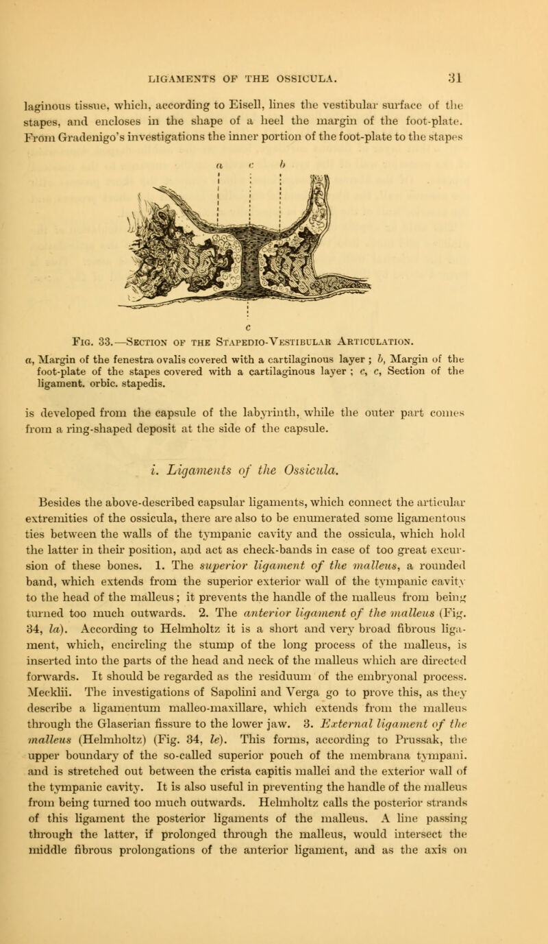 laginous tissue, which, according to Eisell, lines the vestibular surface of the stapes, and encloses in the shape of a heel the margin of the foot-plate. From Gradenigo's investigations the inner portion of the foot-plate to the stapes Fig. 33.—Section of the Stapedio-Vestibular Articulation. a, Margin of the fenestra ovalis covered with a cartilaginous layer ; b, Margin of the foot-plate of the stapes covered with a cartilaginous layer ; c, c, Section of the ligament, orbic. stapedis. is developed from the capsule of the labyrinth, while the outer part comes from a ring-shaped deposit at the side of the capsule. I. Ligaments of the Ossicula. Besides the above-described capsular ligaments, which connect the articular extremities of the ossicula, there are also to be enumerated some ligamentous ties between the walls of the tympanic cavity and the ossicula, which hold the latter in then* position, and act as check-bands in case of too great excur- sion of these bones. 1. The superior ligament of the malleus, a rounded band, wdiich extends from the superior exterior wall of the tympanic cavity to the head of the malleus; it prevents the handle of the malleus from being turned too much outwards. 2. The anterior ligament of the malleus (Fig. 34, la). According to Hehnholtz it is a short and very broad fibrous liga- ment, which, encircling the stump of the long process of the malleus, is inserted into the parts of the head and neck of the malleus which are directed forwards. It should be regarded as the residuum of the embryonal process. Mecklii. The investigations of Sapolini and Verga go to prove this, as they describe a ligamentum malleo-maxillare, which extends from the malleus through the Glaserian fissure to the lower jaw. 3. External ligament of the malleus (Hehnholtz) (Fig. 34, le). This forms, according to Prussak, the upper boundary of the so-called superior pouch of the membrana tympani. and is stretched out between the crista capitis mallei and the exterior wall of the tympanic cavity. It is also useful in preventing the handle of the malleus from being tinned too much outwards. Hehnholtz calls the posterior strands of this ligament the posterior ligaments of the malleus. A line passing through the latter, if prolonged through the malleus, would intersect the middle fibrous prolongations of the anterior ligament, and as the axis on