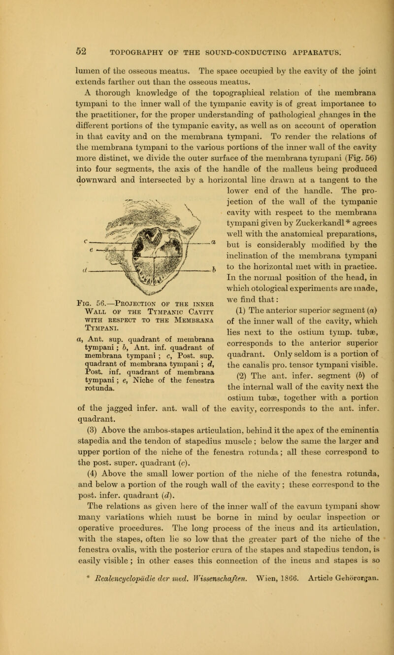 lumen of the osseous meatus. The space occupied by the cavity of the joint extends farther out than the osseous meatus. A thorough knowledge of the topographical relation of the membrana tympani to the inner wall of the tympanic cavity is of great importance to the practitioner, for the proper understanding of pathological changes in the different portions of the tympanic cavity, as well as on account of operation in that cavity and on the membrana tympani. To render the relations of the membrana tympani to the various portions of the inner wall of the cavity more distinct, we divide the outer surface of the membrana tympani (Fig. 56) into four segments, the axis of the handle of the malleus being produced downward and intersected by a horizontal line drawn at a tangent to the lower end of the handle. The pro- jection of the wall of the tympanic cavity with respect to the membrana tympani given by Zuckerkandl * agrees well with the anatomical preparations, but is considerably modified by the inclination of the membrana tynipani to the horizontal met with in practice. In the normal position of the head, in which otological experiments are made, we find that: (1) The anterior superior segment (a) of the inner wall of the cavity, which lies next to the ostium tymp. tubee, corresponds to the anterior superior quadrant. Only seldom is a portion of the canalis pro. tensor tympani visible. (2) The ant. infer, segment (b) of the internal wall of the cavity next the ostium tubae, together with a portion of the jagged infer, ant. wall of the cavity, corresponds to the ant. infer, quadrant. (3) Above the ambos-stapes articulation, behind it the apex of the eminentia stapedia and the tendon of stapedius muscle; below the same the larger and upper portion of the niche of the fenestra rotunda; all these correspond to the post, super, quadrant (c). (4) Above the small lower portion of the niche of the fenestra rotunda, and below a portion of the rough wall of the cavity; these correspond to the post, infer, quadrant (d). The relations as given here of the inner wall of the cavum tympani show many variations which must be borne in mind by ocular inspection or operative procedures. The long process of the incus and its articulation, with the stapes, often lie so low that the greater part of the niche of the fenestra ovalis, with the posterior crura of the stapes and stapedius tendon, is easily visible ; in other cases this connection of the incus and stapes is so Fig. 56.—Projection of the inner Wall of the Tympanic Cavity with respect to the Membrana Tympani. a, Ant. sup. quadrant of membrana tympani; b, Ant. inf. quadrant of membrana tympani ; c, Post. sup. quadrant of membrana tympani ; d, Post. inf. quadrant of membrana tympani ; e, Niche of the fenestra rotunda. * Realencyclopiidie der vied. Wissenschaften. Wien, 1866. Article Gehororgan.