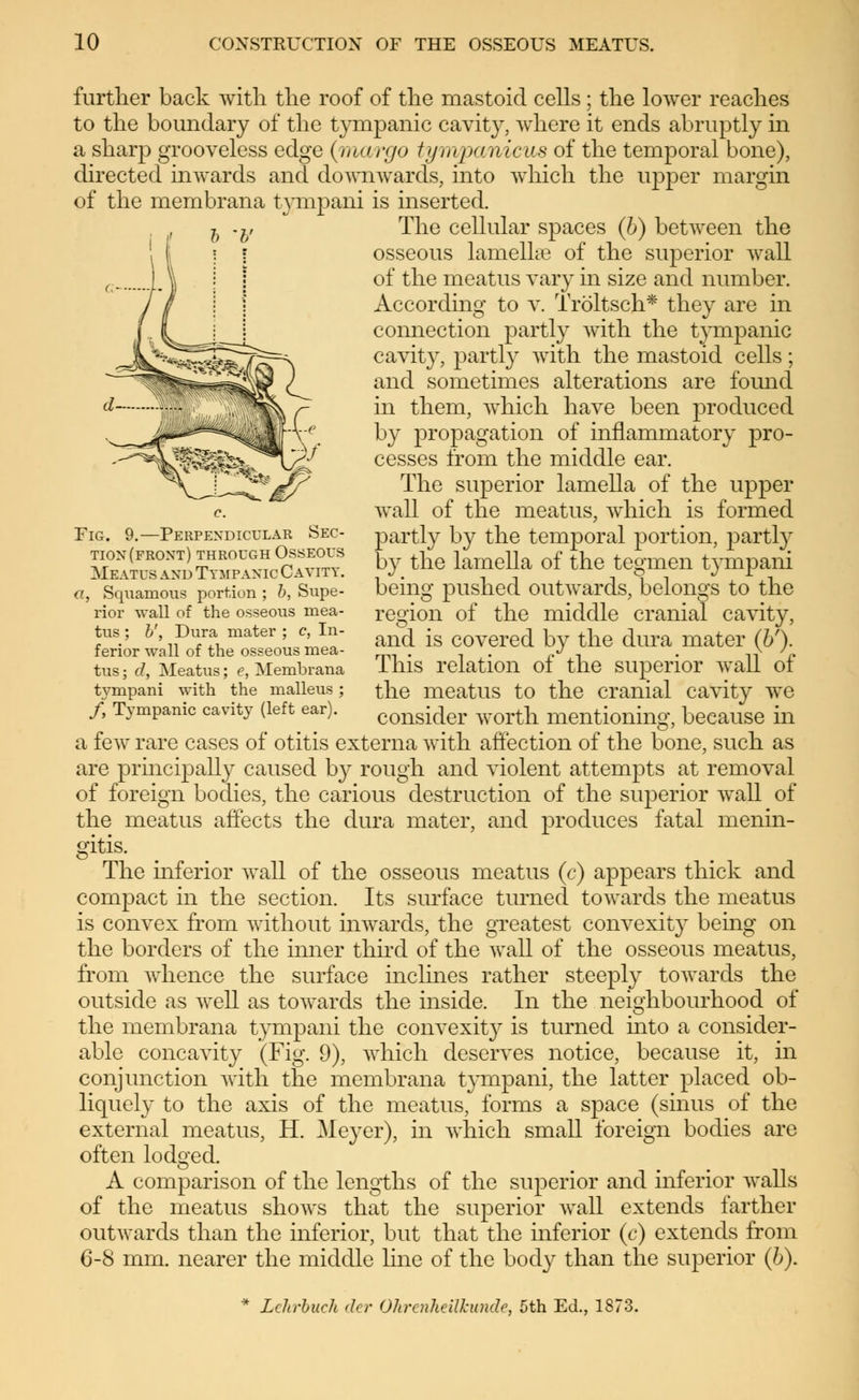 b 'V further back with the roof of the mastoid cells; the lower reaches to the boundary of the tympanic cavity, where it ends abruptly in a sharp grooveless edge (margo tympanicus of the temporal bone), directed inwards and downwards, into which the upper margin of the membrana tympani is inserted. The cellular spaces (b) between the osseous lamellae of the superior Avail of the meatus vary in size and number. According to v. Tröltsch* they are in connection partly with the tympanic cavity, partly with the mastoid cells; and sometimes alterations are found in them, which have been produced by propagation of inflammatory pro- cesses from the middle ear. The superior lamella of the upper wall of the meatus, which is formed partly by the temporal portion, partly by the lamella of the tegmen tympani being pushed outwards, belongs to the Fig. 9.—Perpendicular Sec- tion (front) through Osseous Meatus and Tympanic Cavity. a, Squamous portion ; b, Supe- rior wall of the osseous mea- tus ; b', Dura mater ; c, In- ferior wall of the osseous mea- tus ; d, Meatus; e, Membrana tympani with the malleus; f, Tympanic cavity (left ear). region of the middle cranial cavity, and is covered by the dura mater (6'). This relation of the superior wall of the meatus to the cranial cavity we consider worth mentioning, because in a few rare cases of otitis externa with affection of the bone, such as are principally caused by rough and violent attempts at removal of foreign bodies, the carious destruction of the superior wall of the meatus affects the dura mater, and produces fatal menin- gitis. The inferior wall of the osseous meatus (c) appears thick and compact in the section. Its surface turned towards the meatus is convex from without inwards, the greatest convexity being on the borders of the inner third of the wall of the osseous meatus, from whence the surface inclines rather steeply towards the outside as well as towards the inside. In the neighbourhood of the membrana tympani the convexity is turned into a consider- able concavity (Fig. 9), which deserves notice, because it, in conjunction with the membrana tympani, the latter placed ob- liquely to the axis of the meatus, forms a space (sinus of the external meatus, H. Meyer), in which small foreign bodies are often lodged. A comparison of the lengths of the superior and inferior walls of the meatus shows that the superior Avail extends farther outwards than the inferior, but that the inferior (c) extends from 6-8 mm. nearer the middle line of the body than the superior (b). Lehrbuch der Ohrenheilkunde, 5th Ed., 1873.