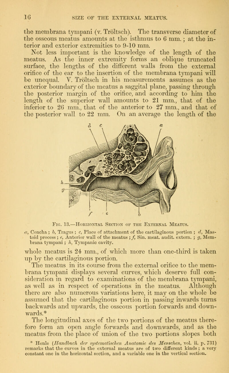 the membrana tympani (v. Tröltsch). The transverse diameter of the osseous meatus amounts at the isthmus to 6 mm. ; at the in- terior and exterior extremities to 9-10 mm. Not less important is the knowledge of the length of the meatus. As the inner extremity forms an oblique truncated surface, the lengths of the different walls from the external orifice of the ear to the insertion of the membrana tympani will be unequal. V. Tröltsch in his measurements assumes as the exterior boundary of the meatus a saggital plane, passing through the posterior margin of the orifice, and according to him the length of the superior wall amounts to 21 mm., that of the inferior to 26 mm., that of the anterior to 27 mm., and that of the posterior Avail to 22 mm. On an average the length of the Fig. 13.—Horizontal Section of the External Meatus. a. Concha ; b, Tragus ; c, Place of attachment of the cartilaginous portion ; d, Mas- toid process ; e, Anterior wall of the meatus ; /, Sin. meat, audit, extern. ; g, Mem- brana tympani ; h, Tympanic cavity. whole meatus is 24 mm., of which more than one-third is taken up by the cartilaginous portion. The meatus in its course from the external orifice to the mem- brana tympani displays several curves, which deserve full con- sideration in regard to examinations of the membrana tympani, as well as in respect of operations in the meatus. Although there are also numerous variations here, it may on the whole be assumed that the cartilaginous portion in passing inwards turns backwards and upwards, the osseous portion forwards and down- wards.* The longitudinal axes of the two portions of the meatus there- fore form an open angle forwards and downwards, and as the meatus from the place of union of the two portions slopes both * Henle {Handbuch der systematischen Anatomie des Menschen, vol. ii. p. 731) remarks that the curves in the external meatus are of two different kinds ; a very constant one in the horizontal section, and a variable one in the vertical section.