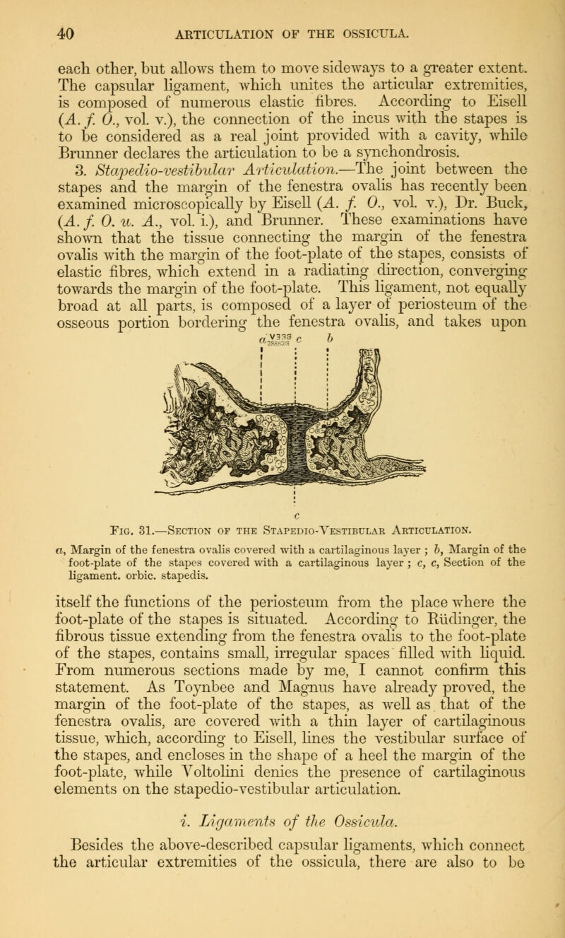 each other, but allows them to move sideways to a greater extent. The capsular ligament, which unites the articular extremities, is composed of numerous elastic fibres. According to Eisell (A. f. 0., vol v.), the connection of the incus with the stapes is to be considered as a real joint provided with a cavity, while Brunner declares the articulation to be a synchondrosis. 3. Stapedio-vestibular Articulation.—The joint between the stapes and the margin of the fenestra ovalis has recently been examined microscopically by Eisell (A. f. 0., vol. v.), Dr. Buck, (A. /. 0. u. A., vol. i.), and Brunner. These examinations have shown that the tissue connecting the margin of the fenestra ovalis with the margin of the foot-plate of the stapes, consists of elastic fibres, which extend in a radiating direction, converging towards the margin of the foot-plate. This ligament, not equally broad at all parts, is composed of a layer of periosteum of the osseous portion bordering the fenestra ovalis, and takes upon b Fig. 31.—Section of the Stapedio-Vestibulak Articulation. a, Margin of the fenestra ovalis covered with a cartilaginous layer ; b, Margin of the foot-plate of the stapes covered with a cartilaginous layer ; c, c, Section of the ligament, orbic. stapedis. itself the functions of the periosteum from the place where the foot-plate of the stapes is situated. According to Rüclinger, the fibrous tissue extending from the fenestra ovalis to the foot-plate of the stapes, contains small, irregular spaces filled with liquid. From numerous sections made by me, I cannot confirm this statement. As Toynbee and Magnus have already proved, the margin of the foot-plate of the stapes, as well as that of the fenestra ovalis, are covered with a thin layer of cartilaginous tissue, which, according to Eisell, lines the vestibular surface of the stapes, and encloses in the shape of a heel the margin of the foot-plate, while Yoltolini denies the presence of cartilaginous elements on the stapedio-vestibular articulation. i. Ligaments of the Ossicula. Besides the above-described capsular ligaments, which connect the articular extremities of the ossicula, there are also to be