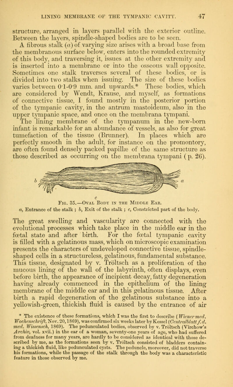 structure, arranged in layers parallel with the exterior outline. Between the layers, spindle-shaped bodies are to be seen. A fibrous stalk (a) of varying size arises with a broad base from the membranous surface below, enters into the rounded extremity of this body, and traversing it, issues at the other extremity and is inserted into a membrane or into the osseous Avail opposite. Sometimes one stalk traverses several of these bodies, or is divided into two stalks when issuing. The size of these bodies varies between 01-09 mm. and upwards.* These bodies, which are considered by Wendt, Krause, and myself, as formations of connective tissue, I found mostly in the posterior portion of the tympanic cavity, in the antrum mastoideum, also in the upper tympanic space, and once on the membrana tympani. The lining membrane of the tympanum in the new-born infant is remarkable for an abundance of vessels, as also for great tumefaction of the tissue (Brunner). In places which are perfectly smooth in the adult, for instance on the promontory, are often found densely packed papillae of the same structure as those described as occurring on the membrana tympani ( p. 26). c Fig. 35.—Oval Body in the Middle Ear. a, Entrance of the stalk ; b, Exit of the stalk ; c, Constricted part of the body. The great swelling and vascularity are connected with the evolutional processes which take place in the middle ear in the foetal state and after birth. For the foetal tympanic cavity is filled with a gelatinous mass, which on microscopic examination presents the characters of undeveloped connective tissue, spindle- shaped cells in a structureless, gelatinous, fundamental substance. This tissue, designated by v. Tröltsch as a proliferation of the mucous lining of the wall of the labyrinth, often displays, even before birth, the appearance of incipient decay, fatty degeneration having already commenced in the epithelium of the lining membrane of the middle ear and in this gelatinous tissue. After birth a rapid degeneration of the gelatinous substance into a yellowish-green, thickish fluid is caused by the entrance of air * The existence of these formations, which I was the first to describe ( Wiener med. Wochenschrift, Nov. 20,1869), was confirmed six weeks later by Kessel (Centrcdblattf.d. med. Wissensch, 1869). The pedunculated bodies, observed by v. Tröltsch (Virchow's Archiv, vol. xvii.) in the ear of a woman, seventy-one years of age, who had suffered from deafness for many years, are hardly to be considered as identical with those de- scribed by me, as the formations seen by v. Tröltsch consisted of bladders contain- ing a thickish fluid, like pedunculated cysts. The peduncle, moreover, did not traverse his formations, while the passage of the stalk through the body was a characteristic feature in those observed by me.