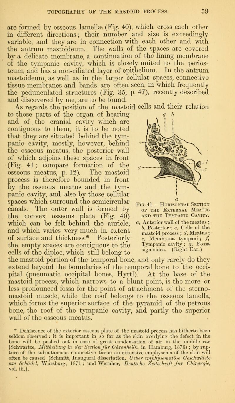 are formed by osseous lamelke (Fig. 40), which cross each other in different directions; then number and size is exceedingly variable, and they are in connection with each other and with the antrum mastoideum. The walls of the spaces are covered by a delicate membrane, a continuation of the lining membrane of the tympanic cavity, which is closely united to the perios- teum, and has a non-ciliated layer of epithelium. In the antrum mastoideum, as well as in the larger cellular spaces, connective tissue membranes and bands are often seen, in which frequently the pedunculated structures (Fig. 35, p. 47), recently described and discovered by me, are to be found. As regards the position of the mastoid cells and their relation to those parts of the organ of hearing and of. the cranial cavity which are contiguous to them, it is to be noted that they are situated behind the tym- panic cavity, mostly, however, behind the osseous meatus, the posterior wall of which adjoins these spaces in front (Fig. 41; compare formation of the osseous meatus, p. 12). The mastoid process is therefore bounded in front by the osseous meatus and the tym- panic cavity, and also by those cellular spaces which surround the semicircular canals. The outer wall is formed by the convex osseous plate (Fig. 40) which can be felt behind the auricle, and which varies very much in extent of surface and thickness.* Posteriorly the empty spaces are contiguous to the cells of the diploe, which still belong to the mastoid portion of the temporal bone, and only rarely do they extend beyond the boundaries of the temporal bone to the occi- pital (pneumatic occipital bones, Hyrtl). At the base of the mastoid process, which narrows to a blunt point, is the more or less pronounced fossa for the point of attachment of the sterno- mastoid muscle, while the roof belongs to the osseous lamella, which forms the superior surface of the pyramid of the petrous bone, the roof of the tympanic cavity, and partly the superior wall of the osseous meatus. Fig. 41.—Horizontal Section of the External Meatus and the Tympanic Cavity. a, Anterior wall of the meatus ; b, Posterior ; c, Cells of the mastoid process ; d, Meatus ; e, Membrana tympani ; f, Tympanic cavity; g, Fossa sigmoidea. (Right Ear.) * Dehiscence of the exterior osseous plate of the mastoid process has hitherto been seldom observed : it is important in so far as the skin overlying the defect in the bone will be pushed out in case of great condensation of air in the middle ear (Schwartze, Mittheilung in der Section für Ohrenheilk. in Hamburg, 1876) ; by rup- ture of the subcutaneous connective tissue an extensive emphysema of the skin will often be caused (Schmitt, Inaugural dissertation, Ueber emphysematous Geschwülste am Schädel, Würzburg, 1871 ; und Wernher, Deutsche Zeitschrift für Chirurgie, vol. iii.).