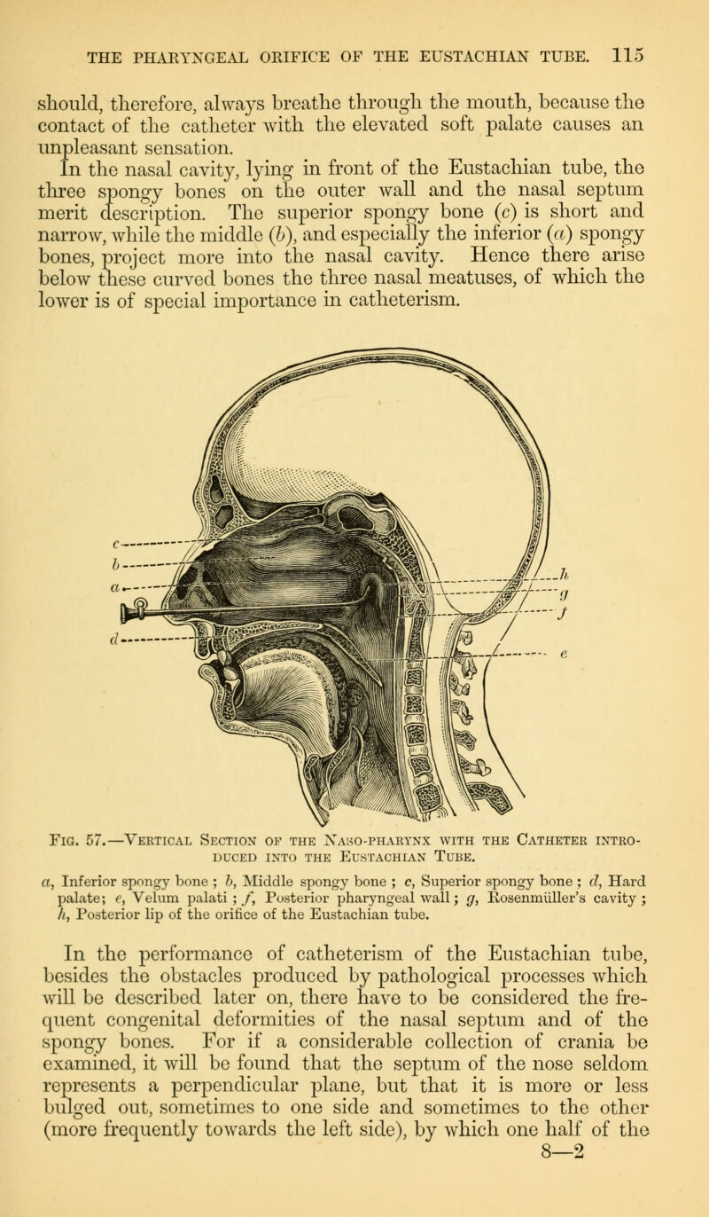 should, therefore, always breathe through the mouth, because the contact of the catheter with the elevated soft palate causes an unpleasant sensation. In the nasal cavity, lying in front of the Eustachian tube, the three spongy bones on the outer wall and the nasal septum merit description. The superior spongy bone (c) is short and narrow, while the middle (b), and especially the inferior (a) spongy bones, project more into the nasal cavity. Hence there arise below these curved bones the three nasal meatuses, of which the lower is of special importance in catheterism. Fig. 57.—Vertical Section of the Xaso-pharynx with the Catheter intro- duced into the Eustachian Tube. a, Inferior spongy bone ; b, Middle spongy bone ; c, Superior spongy bone ; d, Hard palate; e, Velum palati ; f, Posterior pharyngeal wall; g, Rosenmiiller's cavity; h, Posterior lip of the orifice of the Eustachian tube. In the performance of catheterism of the Eustachian tube, besides the obstacles produced by pathological processes which will be described later on, there have to be considered the fre- quent congenital deformities of the nasal septum and of the spongy bones. For if a considerable collection of crania be examined, it will be found that the septum of the nose seldom represents a perpendicular plane, but that it is more or less bulged out, sometimes to one side and sometimes to the other (more frequently towards the left side), by which one half of the 8—2