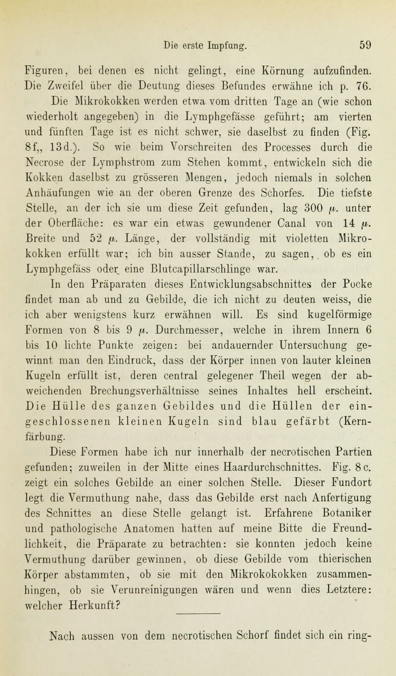 Figuren, bei denen es nicht gelingt, eine Körnung aufzufinden. Die Zweifel über die Deutung dieses Befundes erwähne ich p. 76. Die Mikrokokken werden etwa vom dritten Tage an (wie schon wiederholt angegeben) in die Lymphgefässe geführt; am vierten und fünften Tage ist es nicht schwer, sie daselbst zu finden (Fig. 8f„ 13 d.). So wie beim Vorschreiten des Processes durch die Necrose der Lyrophstrom zum Stehen kommt, entwickeln sich die Kokken daselbst zu grösseren Mengen, jedoch niemals in solchen Anhäufungen wie an der oberen Grenze des Schorfes. Die tiefste Stelle, an der ich sie um diese Zeit gefunden, lag 300 p. unter der Oberfläche: es war ein etwas gewundener Canal von 14 fi. Breite und 52 fi. Länge, der vollständig mit violetten Mikro- kokken erfüllt war; ich bin ausser Stande, zu sagen,. ob es ein Lymphgefäss oder eine Blutcapillarschlinge war. In den Präparaten dieses Entwicklungsabschnittes der Pocke findet man ab und zu Gebilde, die ich nicht zu deuten weiss, die ich aber wenigstens kurz erwähnen will. Es sind kugelförmige Formen von 8 bis 9 fi. Durchmesser, welche in ihrem Innern 6 bis 10 lichte Punkte zeigen: bei andauernder Untersuchung ge- winnt man den Eindruck, dass der Körper innen von lauter kleinen Kugeln erfüllt ist, deren central gelegener Theil wegen der ab- weichenden Brechungsverhältnisse seines Inhaltes hell erscheint. Die Hülle des ganzen Gebildes und die Hüllen der ein- geschlossenen kleinen Kugeln sind blau gefärbt (Kern- färbung. Diese Formen habe ich nur innerhalb der necrotischen Partien gefunden; zuweilen in der Mitte eines Haardurchschnittes. Fig. 8c. zeigt ein solches Gebilde an einer solchen Stelle. Dieser Fundort legt die Vermuthung nahe, dass das Gebilde erst nach Anfertigung des Schnittes an diese Stelle gelangt ist. Erfahrene Botaniker und pathologische Anatomen hatten auf meine Bitte die Freund- lichkeit, die Präparate zu betrachten: sie konnten jedoch keine Vermuthung darüber gewinnen, ob diese Gebilde vom thierischen Körper abstammten, ob sie mit den Mikrokokokken zusammen- hingen, ob sie Verunreinigungen wären und wenn dies Letztere: welcher Herkunft? Nach aussen von dem necrotischen Schorf findet sich ein ring-