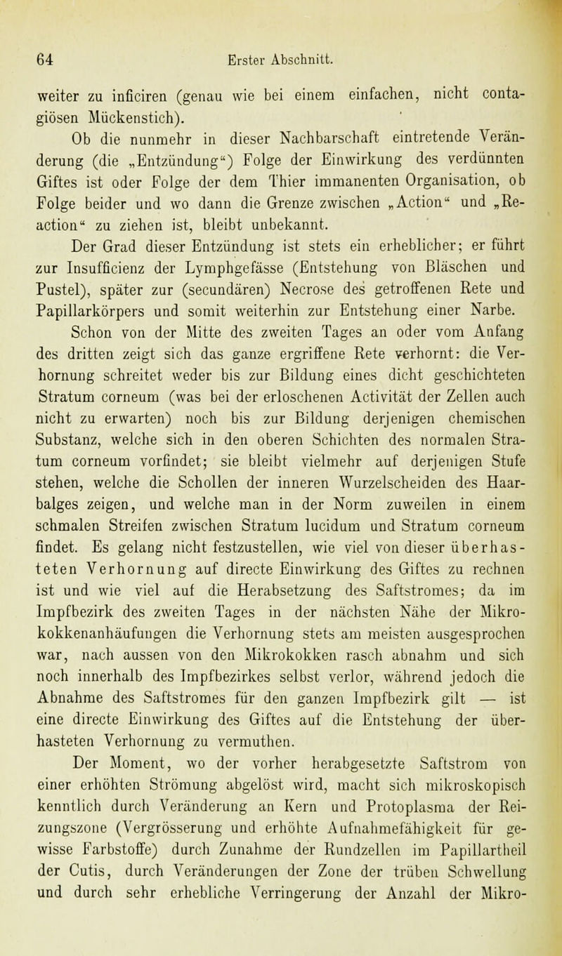 weiter zu inficiren (genau wie bei einem einfachen, nicht conta- giösen Mückenstich). Ob die nunmehr in dieser Nachbarschaft eintretende Verän- derung (die „Entzündung) Folge der Einwirkung des verdünnten Giftes ist oder Folge der dem Thier immanenten Organisation, ob Folge beider und wo dann die Grenze zwischen „Action und „Re- action zu ziehen ist, bleibt unbekannt. Der Grad dieser Entzündung ist stets ein erheblicher; erführt zur Insufficienz der Lymphgefässe (Entstehung von Bläschen und Pustel), später zur (secundären) Necrose des getroffenen Rete und Papillarkörpers und somit weiterhin zur Entstehung einer Narbe. Schon von der Mitte des zweiten Tages an oder vom Anfang des dritten zeigt sich das ganze ergriffene Rete verhornt: die Ver- hornung schreitet weder bis zur Bildung eines dicht geschichteten Stratum corneum (was bei der erloschenen Activität der Zellen auch nicht zu erwarten) noch bis zur Bildung derjenigen chemischen Substanz, welche sich in den oberen Schichten des normalen Stra- tum corneum vorfindet; sie bleibt vielmehr auf derjenigen Stufe stehen, welche die Schollen der inneren Wurzelscheiden des Haar- balges zeigen, und welche man in der Norm zuweilen in einem schmalen Streifen zwischen Stratum lucidum und Stratum corneum findet. Es gelang nicht festzustellen, wie viel von dieser überhas- teten Verhornung auf directe Einwirkung des Giftes zu rechnen ist und wie viel auf die Herabsetzung des Saftstromes; da im Impfbezirk des zweiten Tages in der nächsten Nähe der Mikro- kokkenanhäufungen die Verhornung stets am meisten ausgesprochen war, nach aussen von den Mikrokokken rasch abnahm und sich noch innerhalb des Impfbezirkes selbst verlor, während jedoch die Abnahme des Saftstromes für den ganzen Impfbezirk gilt — ist eine directe Einwirkung des Giftes auf die Entstehung der über- hasteten Verhornung zu vermuthen. Der Moment, wo der vorher herabgesetzte Saftstrom von einer erhöhten Strömung abgelöst wird, macht sich mikroskopisch kenntlich durch Veränderung an Kern und Protoplasma der Rei- zungszone (Vergrösserung und erhöhte Aufnahmefähigkeit für ge- wisse Farbstoffe) durch Zunahme der Rundzellen im Papillartheil der Cutis, durch Veränderungen der Zone der trüben Schwellung und durch sehr erhebliche Verringerung der Anzahl der Mikro-