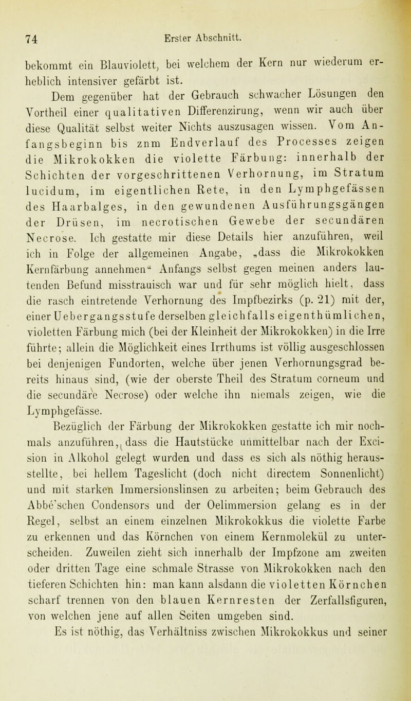 bekommt ein Blauviolett, bei welchem der Kern nur wiederum er- heblich intensiver gefärbt ist. Dem gegenüber hat der Gebrauch schwacher Lösungen den Vortheil einer qualitativen Differenzirung, wenn wir auch über diese Qualität selbst weiter Nichts auszusagen wissen. Vom An- fangsbeginn bis znm Endverlauf des Processes zeigen die Mikrokokken die violette Färbung: innerhalb der Schichten der vorgeschrittenen Verhornung, im Stratum lucidum, im eigentlichen Rete, in den Lymphgefässen des Haarbalges, in den gewundenen Ausführungsgängen der Drüsen, im necrotischen Gewebe der secundären Neurose. Ich gestatte mir diese Details hier anzuführen, weil ich in Folge der allgemeinen Angabe, „dass die Mikrokokken Kernfärbung annehmen Anfangs selbst gegen meinen anders lau- tenden Befund misstrauisch war und für sehr möglich hielt, dass die rasch eintretende Verhornung des Impfbezirks (p. 21) mit der, einer Uebergangsstufe derselben gleich falls eigenthümlichen, violetten Färbung mich (bei der Kleinheit der Mikrokokken) in die Irre führte; allein die Möglichkeit eines Irrthums ist völlig ausgeschlossen bei denjenigen Fundorten, welche über jenen Verhornungsgrad be- reits hinaus sind, (wie der oberste Theil des Stratum corneum und die secundäre Necrose) oder welche ihn niemals zeigen, wie die Lymphgefässe. Bezüglich der Färbung der Mikrokokken gestatte ich mir noch- mals anzuführen,, dass die Hautstücke unmittelbar nach der Exci- sion in Alkohol gelegt wurden und dass es sich als nöthig heraus- stellte, bei hellem Tageslicht (doch nicht directem Sonnenlicht) und mit starken Immersionslinsen zu arbeiten; beim Gebrauch des Abbe'schen Condensors und der Oelimmersion gelang es in der Regel, selbst an einem einzelnen Mikrokokkus die violette Farbe zu erkennen und das Körnchen von einem Kernmolekül zu unter- scheiden. Zuweilen zieht sich innerhalb der Impfzone am zweiten oder dritten Tage eine schmale Strasse von Mikrokokken nach den tieferen Schichten hin: man kann alsdann die violetten Körnchen scharf trennen von den blauen Kernresten der Zerfallsfiguren, von welchen jene auf allen Seiten umgeben sind. Es ist nöthig, das Verhältniss zwischen Mikrokokkus und seiner