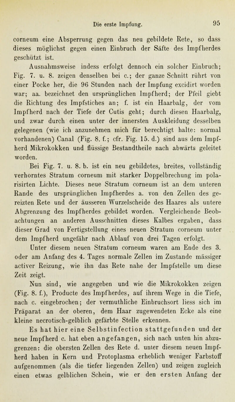 corneum eine Absperrung gegen das neu gebildete Rete, so dass dieses möglichst gegen einen Einbruch der Säfte des Impfherdes geschützt ist. Ausnahmsweise indess erfolgt dennoch ein solcher Einbruch; Fig. 7. u. 8. zeigen denselben bei c.; der ganze Schnitt rührt von einer Pocke her, die 96 Stunden nach der Impfung excidirt worden war; aa. bezeichnet den ursprünglichen Impfherd; der Pfeil giebt die Richtung des Impfstiches an; f. ist ein Haarbalg, der vom Impfherd nach der Tiefe der Cutis geht; durch diesen Haarbalg, und zwar durch einen unter der innersten Auskleidung desselben gelegenen (wie ich anzunehmen mich für berechtigt halte: normal vorhandenen) Canal (Fig. 8. f.; cfr. Fig. 15. d.) sind aus dem Impf- herd Mikrokokken und flüssige Bestandteile nach abwärts geleitet worden. Bei Fig. 7. u. 8. b. ist ein neu gebildetes, breites, vollständig verhorntes Stratum corneum mit starker Doppelbrechung im pola- risirten Lichte. Dieses neue Stratum corneum ist an dem unteren Rande des ursprünglichen Impfherdes a. von den Zellen des ge- reizten Rete und der äusseren Wurzelscheide des Haares als untere Abgrenzung des Impfherdes gebildet worden. Vergleichende Beob- achtungen an anderen Ausschnitten dieses Kalbes ergaben, dass dieser Grad von Fertigstellung eines neuen Stratum corneum unter dem Impfherd ungefähr nach Ablauf von drei Tagen erfolgt. Unter diesem neuen Stratum corneum waren am Ende des 3. oder am Anfang des 4. Tages normale Zellen im Zustande massiger activer Reizung, wie ihn das Rete nahe der Impfstelle um diese Zeit zeigt. Nun sind, wie angegeben und wie die Mikrokokken zeigen (Fig. 8. f.), Producte des Impfherdes, auf ihrem Wege in die Tiefe, nach c. eingebrochen; der vermuthliche Einbruchsort Hess sich im Präparat an der oberen, dem Haar zugewendeten Ecke als eine kleine necrotisch-gelblich gefärbte Stelle erkennen. Es hat hier eine Selbstinfection stattgefunden und der neue Impfherd c. hat eben angefangen, sich nach unten hin abzu- grenzen: die obersten Zellen des Rete d. unter diesem neuen Impf- herd haben in Kern und Protoplasma erheblich weniger Farbstoff aufgenommen (als die tiefer liegenden Zellen) und zeigen zugleich einen etwas gelblichen Schein, wie er den ersten Anfang der
