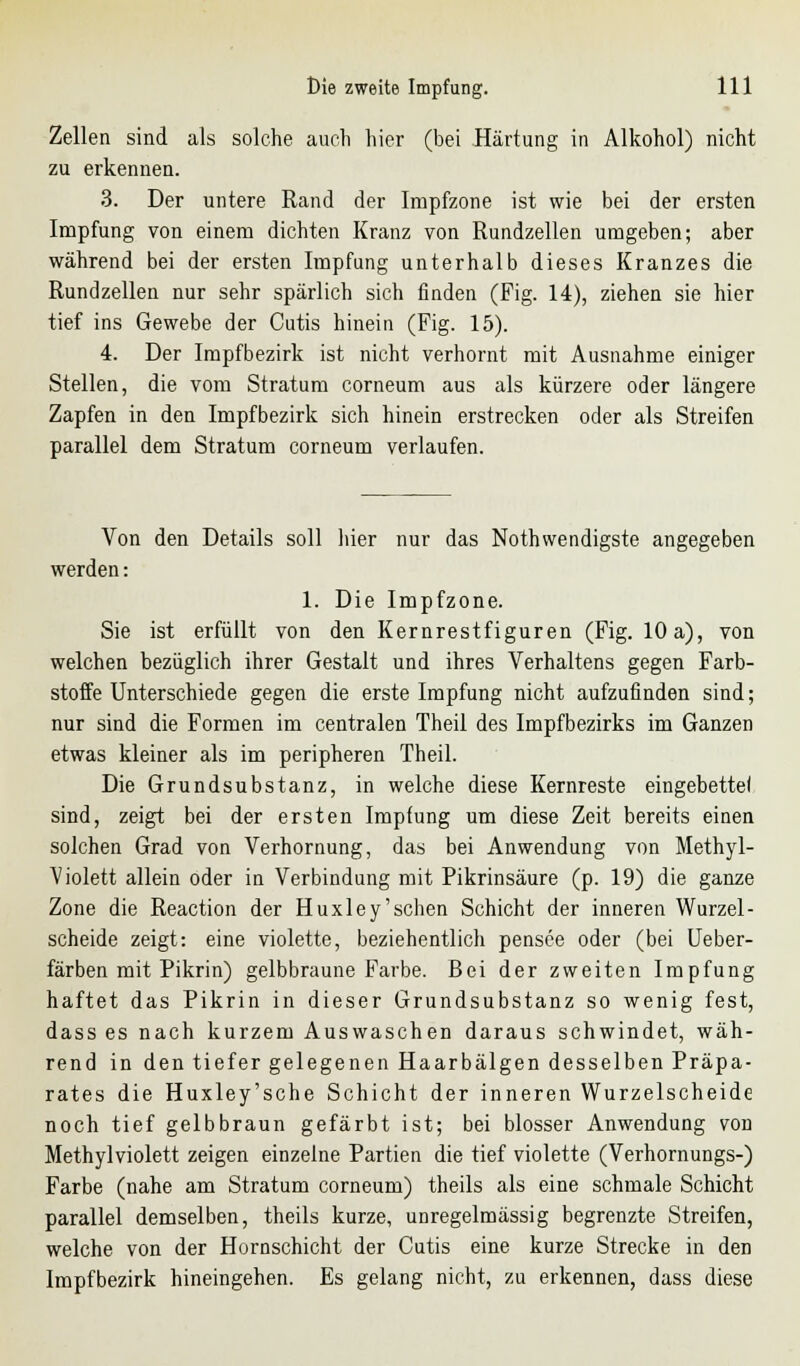 Zellen sind als solche auch hier (bei Härtung in Alkohol) nicht zu erkennen. 3. Der untere Rand der Impfzone ist wie bei der ersten Impfung von einem dichten Kranz von Rundzellen umgeben; aber während bei der ersten Impfung unterhalb dieses Kranzes die Rundzellen nur sehr spärlich sich finden (Fig. 14), ziehen sie hier tief ins Gewebe der Cutis hinein (Fig. 15). 4. Der Impfbezirk ist nicht verhornt mit Ausnahme einiger Stellen, die vom Stratum corneum aus als kürzere oder längere Zapfen in den Impfbezirk sich hinein erstrecken oder als Streifen parallel dem Stratum corneum verlaufen. Von den Details soll liier nur das Notwendigste angegeben werden: 1. Die Impfzone. Sie ist erfüllt von den Kernrestfiguren (Fig. 10 a), von welchen bezüglich ihrer Gestalt und ihres Verhaltens gegen Farb- stoffe Unterschiede gegen die erste Impfung nicht aufzufinden sind; nur sind die Formen im centralen Theil des Impfbezirks im Ganzen etwas kleiner als im peripheren Theil. Die Grundsubstanz, in welche diese Kernreste eingebettet sind, zeigt bei der ersten Impfung um diese Zeit bereits einen solchen Grad von Verhornung, das bei Anwendung von Methyl- Violett allein oder in Verbindung mit Pikrinsäure (p. 19) die ganze Zone die Reaction der Huxley' sehen Schicht der inneren Wurzel - scheide zeigt: eine violette, beziehentlich pensee oder (bei Ueber- färben mit Pikrin) gelbbraune Farbe. Bei der zweiten Impfung haftet das Pikrin in dieser Grundsubstanz so wenig fest, dass es nach kurzem Auswaschen daraus schwindet, wäh- rend in den tiefer gelegenen Haarbälgen desselben Präpa- rates die Huxley'sche Schicht der inneren Wurzelscheide noch tief gelbbraun gefärbt ist; bei blosser Anwendung von Methylviolett zeigen einzelne Partien die tief violette (Verhornungs-) Farbe (nahe am Stratum corneum) theils als eine schmale Schicht parallel demselben, theils kurze, unregelmässig begrenzte Streifen, welche von der Hornschicht der Cutis eine kurze Strecke in den Impfbezirk hineingehen. Es gelang nicht, zu erkennen, dass diese