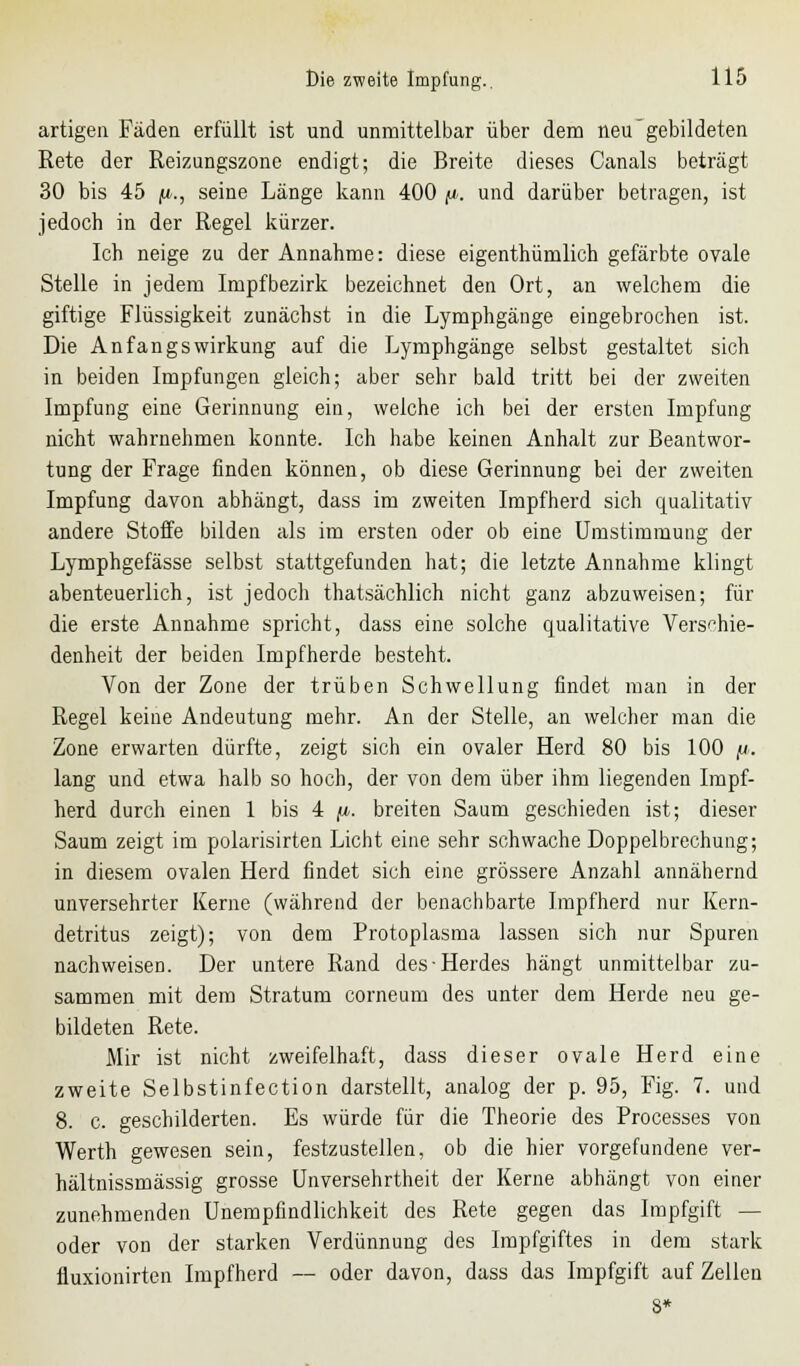 artigen Fäden erfüllt ist und unmittelbar über dem neu gebildeten Rete der Reizungszone endigt; die Breite dieses Canals beträgt 30 bis 45 (Jb., seine Länge kann 400 f*. und darüber betragen, ist jedoch in der Regel kürzer. Ich neige zu der Annahme: diese eigenthümlich gefärbte ovale Stelle in jedem Impfbezirk bezeichnet den Ort, an welchem die giftige Flüssigkeit zunächst in die Lymphgänge eingebrochen ist. Die Anfangs Wirkung auf die Lymphgänge selbst gestaltet sich in beiden Impfungen gleich; aber sehr bald tritt bei der zweiten Impfung eine Gerinnung ein, welche ich bei der ersten Impfung nicht wahrnehmen konnte. Ich habe keinen Anhalt zur Beantwor- tung der Frage finden können, ob diese Gerinnung bei der zweiten Impfung davon abhängt, dass im zweiten Impfherd sich qualitativ andere Stoffe bilden als im ersten oder ob eine Umstimmung der Lymphgefässe selbst stattgefunden hat; die letzte Annahme klingt abenteuerlich, ist jedoch thatsächlich nicht ganz abzuweisen; für die erste Annahme spricht, dass eine solche qualitative Verschie- denheit der beiden Impfherde besteht. Von der Zone der trüben Schwellung findet man in der Regel keine Andeutung mehr. An der Stelle, an welcher man die Zone erwarten dürfte, zeigt sich ein ovaler Herd 80 bis 100 j*. lang und etwa halb so hoch, der von dem über ihm liegenden Impf- herd durch einen 1 bis 4 [i. breiten Saum geschieden ist; dieser Saum zeigt im polarisirten Licht eine sehr schwache Doppelbrechung; in diesem ovalen Herd findet sich eine grössere Anzahl annähernd unversehrter Kerne (während der benachbarte Impfherd nur Kern- detritus zeigt); von dem Protoplasma lassen sich nur Spuren nachweisen. Der untere Rand des-Herdes hängt unmittelbar zu- sammen mit dem Stratum corneum des unter dem Herde neu ge- bildeten Rete. Mir ist nicht zweifelhaft, dass dieser ovale Herd eine zweite Selbstinfection darstellt, analog der p. 95, Fig. 7. und 8. c. geschilderten. Es würde für die Theorie des Processes von Werth gewesen sein, festzustellen, ob die hier vorgefundene ver- hältnissmässig grosse Unversehrtheit der Kerne abhängt von einer zunehmenden Unempfindlichkeit des Rete gegen das Impfgift — oder von der starken Verdünnung des Impfgiftes in dem stark fluxionirten Impfherd — oder davon, dass das Impfgift auf Zellen