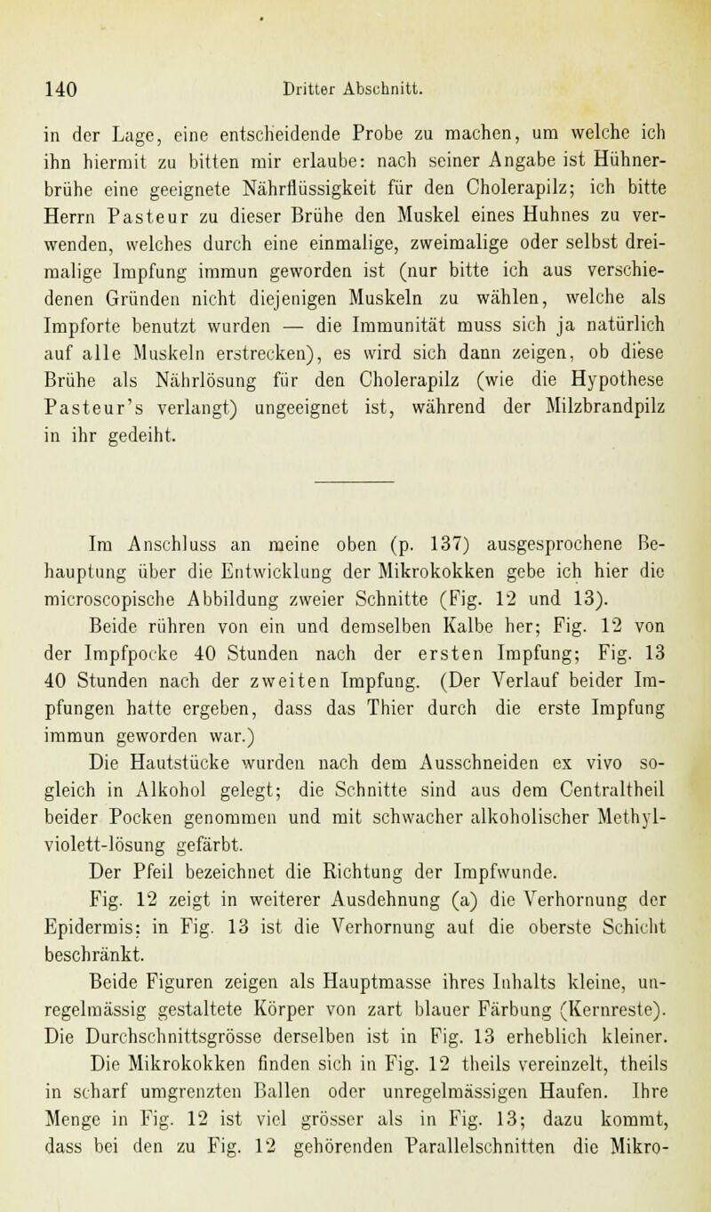 in der Lage, eine entscheidende Probe zu machen, um welche ich ihn hiermit zu bitten mir erlaube: nach seiner Angabe ist Hühner- brühe eine geeignete Nährflüssigkeit für den Cholerapilz; ich bitte Herrn Pasteur zu dieser Brühe den Muskel eines Huhnes zu ver- wenden, welches durch eine einmalige, zweimalige oder selbst drei- malige Impfung immun geworden ist (nur bitte ich aus verschie- denen Gründen nicht diejenigen Muskeln zu wählen, welche als Impforte benutzt wurden — die Immunität muss sich ja natürlich auf alle Muskeln erstrecken), es wird sich dann zeigen, ob diese Brühe als Nährlösung für den Cholerapilz (wie die Hypothese Pasteur's verlangt) ungeeignet ist, während der Milzbrandpilz in ihr gedeiht. Im Anschluss an meine oben (p. 137) ausgesprochene Be- hauptung über die Entwicklung der Mikrokokken gebe ich hier die microscopische Abbildung zweier Schnitte (Fig. 12 und 13). Beide rühren von ein und demselben Kalbe her; Fig. 12 von der Impfpocke 40 Stunden nach der ersten Impfung; Fig. 13 40 Stunden nach der zweiten Impfung. (Der Verlauf beider Im- pfungen hatte ergeben, dass das Thier durch die erste Impfung immun geworden war.) Die Hautstücke wurden nach dem Ausschneiden ex vivo so- gleich in Alkohol gelegt; die Schnitte sind aus dem Centraltheil beider Pocken genommen und mit schwacher alkoholischer Methyl- violett-lösung gefärbt. Der Pfeil bezeichnet die Richtung der Impfwunde. Fig. 12 zeigt in weiterer Ausdehnung (a) die Verhornung der Epidermis: in Fig. 13 ist die Verhornung aut die oberste Schicht beschränkt. Beide Figuren zeigen als Hauptmasse ihres Inhalts kleine, un- regelmässig gestaltete Körper von zart blauer Färbung (Kernreste). Die Durchschnittsgrösse derselben ist in Fig. 13 erheblich kleiner. Die Mikrokokken finden sich in Fig. 12 theils vereinzelt, theils in scharf umgrenzten Ballen oder unregelmässigen Haufen. Ihre Menge in Fig. 12 ist viel grösser als in Fig. 13; dazu kommt, dass bei den zu Fig. 12 gehörenden Parallelschnitten die Mikro-