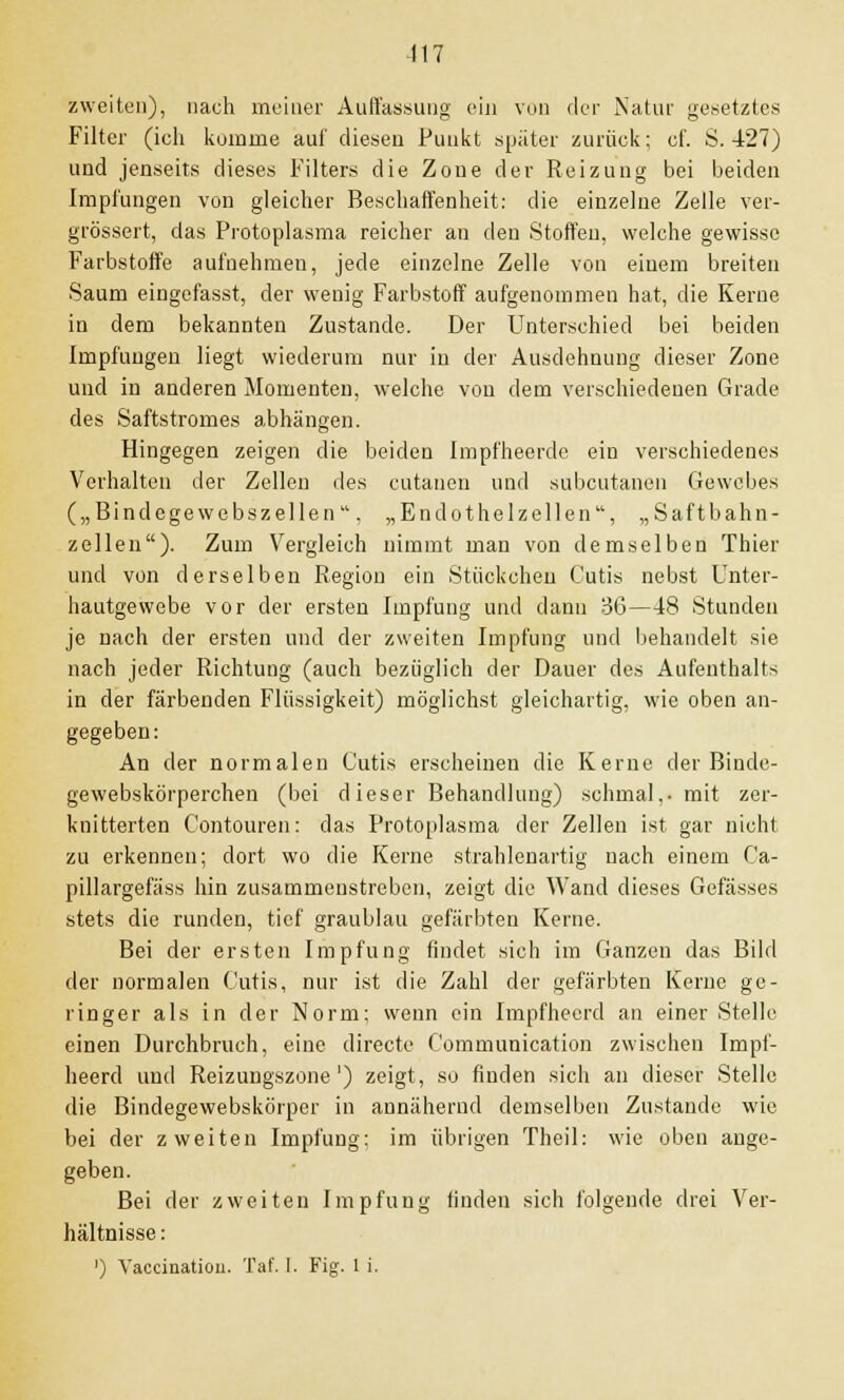 117 zweiten), nach meiner Auffassung ein von der Natur gesetztes Filter (icli komme auf diesen Punkt später zurück; ef. S. 427) und jenseits dieses Filters die Zone der Reizung bei beiden Impfungen von gleicher Beschaffenheit: die einzelne Zelle ver- grössert, das Protoplasma reicher an den Stoffen, welche gewisse Farbstoffe aufnehmen, jede einzelne Zelle von einem breiten Saum eingefasst, der wenig Farbstoff aufgenommen hat, die Kerne in dem bekannten Zustande. Der Unterschied bei beiden Impfungen liegt wiederum nur in der Ausdehnung dieser Zone und in anderen Momenten, welche von dem verschiedenen Grade des Saftstromes abhängen. Hingegen zeigen die beiden Impfheerde ein verschiedenes Verhalten der Zellen des cutanen und subcutanen Gewebes („Bindegewebszellen. „Endothelzellen, „Saftbahn- zellen). Zum Vergleich nimmt man von demselben Thier und von derselben Region ein Stückchen Cutis nebst Unter- hautgewebe vor der ersten Impfung und dann 36—48 Stunden je nach der ersten und der zweiten Impfung und behandelt sie nach jeder Richtung (auch bezüglich der Dauer des Aufenthalts in der färbenden Flüssigkeit) möglichst gleichartig, wie oben an- gegeben: An der normalen Cutis erscheinen die Kerne der Binde- gewebskörperchen (bei dieser Behandlung) schmal,- mit zer- knitterten Contouren: das Protoplasma der Zellen ist gar nicht zu erkennen; dort wo die Kerne strahlenartig nach einem Ca- pillargefäss hin zusammeiistreben, zeigt die Wand dieses Gefässes stets die runden, tief graublau gefärbten Kerne. Bei der ersten Impfung findet sieh im Ganzen das Bild der normalen Cutis, nur ist die Zahl der gefärbten Kerne ge- ringer als in der Norm; wenn ein Impfhecrd an einer Stelle einen Durchbruch, eine directe Communication zwischen Impf- heerd und Reizungszone') zeigt, so finden sich an dieser Stelle die Bindegewebskö'rper in annähernd demselben Zustande wie bei der zweiten Impfung; im übrigen Thcil: wie oben auge- geben. Bei der zweiten Impfung finden sich folgende drei Ver- hältnisse : ') Vaccination. Taf. I. Fig. 1 i.