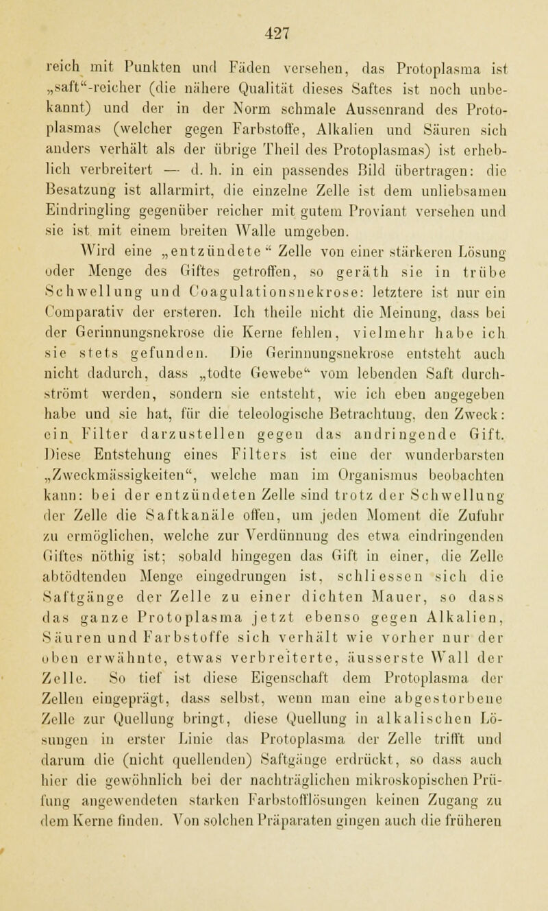 reich mit Punkten und Fäden versehen, das Protoplasma ist „saff'-reicher (die nähere Qualität dieses Saftes ist noch unbe- kannt) und der in der Norm schmale Aussenrand des Proto- plasmas (welcher gegen Farbstoffe, Alkalien und Säuren sich anders verhält als der übrige Theil des Protoplasmas) ist erheb- lich verbreitert — d. h. in ein passendes Bild übertragen: die Besatzung ist allarmirt, die einzelne Zelle ist dem unliebsamen Eindringling gegenüber reicher mit gutem Proviant versehen und sie ist mit einem breiten Walle umgeben. Wird eine „entzündete  Zelle von einer stärkeren Lösung oder Menge des Giftes getroffen, so geräth sie in trübe Schwellung und Coagulationsnekrose: letztere ist nur ein (umparativ der ersteren. Ich theile nicht die Meinung, dass bei der Gerinnungsnekrose die Kerne fehlen, vielmehr habe ich sie stets gefunden. Die Gerinnungsnekrose entsteht auch nicht dadurch, dass „todte Gewebe vom lebenden Saft durch- strömt werden, sondern sie entsteht, wie ich eben augegeben habe und sie hat, für die teleologische Betrachtung, den Zweck: ein Filter darzustellen gegen das andringende Gift. Diese Entstehung eines Filters ist eine der wunderbarsten „Zweckmässigkeiten, welche man im Organismus beobachten kann: bei der entzündeten Zelle sind trotz der Schwellung der Zelle die Saftkanäle offen, um jeden Moment die Zufuhr zu ermöglichen, welche zur Verdünnung des etwa eindringenden Giftes nöthig ist; sobald hingegen das Gift in einer, die Zelle abtödtenden Menge eingedrungen ist, schli essen sich die Saftgänge der Zelle zu einer dichten Mauer, so dass das ganze Protoplasma jetzt ebenso gegen Alkalien, Säuren und Farbstoffe sich verhält wie vorher nur der oben erwähnte, etwas verbreiterte, äusserste Wall der Zelle. So tief ist diese Eigenschaft dem Protoplasma der Zellen eingeprägt, dass selbst, wenn man eine abgestorbene Zelle zur Quellung bringt, diese Quellung in alkalischen Lö- sungen in erster Linie das Protoplasma der Zelle trifft und darum die (nicht quellenden) Saftgänge erdrückt, so dass auch hier die gewöhnlich bei der nachträglichen mikroskopischen Prü- fung angewendeten starken Farbstofflösungen keinen Zugang zu dem Kerne linden. Von solchen Präparaten gingen auch die frühereu