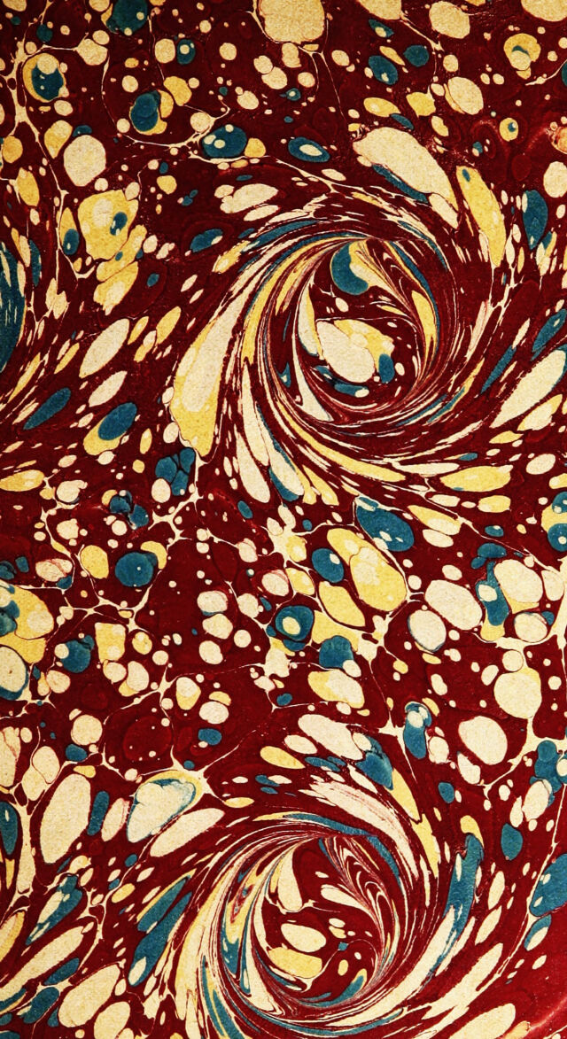 No text description is available for this image