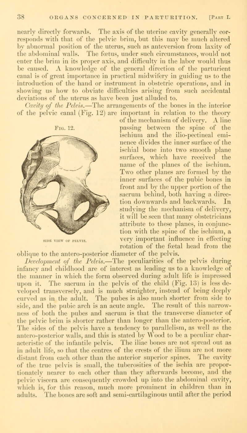 Fig. 12. nearly directly forwards. The axis of the uterine cavity generally cor- responds with that of the pelvic brim, but this may be much altered by abnormal position of the uterus, such as anteversion from laxity of the abdominal walls. The foetus, under such circumstances, would not enter the brim in its proper axis, and difficulty in the labor would thus be caused. A knowledge of the general direction of the parturient canal is of great importance in practical midwifery in guiding us to the introduction of the hand or instrument in obstetric operations, and in showing us how to obviate difficulties arising from such accidental deviations of the uterus as have been just alluded to. ( hvity of the Pelvis.—The arrangements of the bones in the interior of the pelvic canal (Fig. 1-) are important in relation to the theory of the mechanism of delivery. A line passing between the spine of the ischium and the ilio-pectineal emi- nence divides the inner surface of tlie ischial bone into two smooth plane surfaces, which have received the name of the planes of the ischium. Two other planes are formed by the inner surfaces of the pubic bones in front and by the upper portion of the sacrum behind, both having a direc- tion downwards and backwards. In studying the mechanism of delivery, it will be seen that many obstetricians attribute to these planes, in conjunc- tion with the spine of the ischium, a very important influence in effecting rotation of the foetal head from the oblique to the antero-posterior diameter of the pelvis. Development of the Pelvis.—The peculiarities of the pelvis during infancy and childhood are of interest as leading us to a knowledge of the manner in which the form observed during adult lii'e is impressed upon it. The sacrum in the pelvis of the child (Fig. L3) is less de- veloped transversely, and is much straighter, instead of being deeply curved as in the adult. The pubes is also much shorter from side to side, and the pubic arch is an acute angle. The result of this narrow- ness of both the pubes and sacrum is that the transverse diameter of the pelvic brim is shorter rather than longer than the antero-posterior. The sides of the pelvis have a tendency to parallelism, as well as the antero-posterior walls, and this is stated by Wood to be a peculiar char- acteristic of the infantile pelvis, The iliac bones are not spread out as in adult life, so that the centres of the crests of the ilium are not more distant from each other than t he anterior superior spines, 'flic cavity of the true pelvis is small, the tuberosities of the ischia are propor- tionately nearer to each other than they afterwards become, and the pelvic viscera are consequently crowded up into the abdominal cavity, which is, for this reason, much more prominent in children than in adults. The bone- are sofl and semi-cartilaginous until after the period Min: \ ll'.w OF PELVIS.