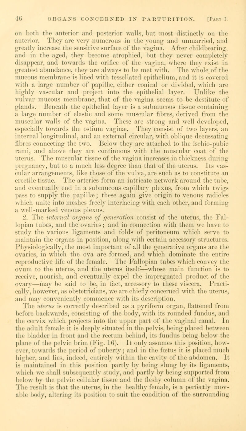 on both the anterior and posterior walls, but most distinctly on the anterior. They arc very numerous in the young and unmarried, and greatly increase the sensitive surface of the vagina. After childbearing, and in the aged, they become atrophied, but they never completely disappear, and towards the orifice of the vagina, where they exist in greatest abundance, they are always to be met with. The whole of the mucous membrane is lined with tessellated epithelium, and it is covered with a large number of papillae, either conical or divided, which are highly vascular and project into the epithelial layer. Unlike the vulvar mucous membrane, that of the vagina seems to be destitute of glands. Beneath the epithelial layer is a submucous tissue containing a large number of elastic and some muscular fibres, derived from the muscular walls of the vagina. These arc strong and well developed, especially towards the ostium vagina?. They consist of two layers, an internal longitudinal, and an external circular, with oblique decussating fibres connecting the two. Below they are attached to the ischio-pubic rami, and above they are continuous with the muscular coat of the uterus. The muscular tissue of the vagina increases in thickness during pregnancy, but to a much less degree than that of the uterus. Its vas- cular arrangements, like those of the vulva, are such as to constitute an erectile tissue. The arteries form an intricate network around the tube, and eventually end in a submucous capillary plexus, from which twigs pass to supply the papillae; these again give origin to venous radicles which unite into meshes freely interlacing with each other, and forming a well-marked venous plexus. '2. The internal organs of generation consist of the uterus, the Fal- lopian tubes, and the ovaries; and in connection with them we have to Study the various ligaments and folds of peritoneum which serve to maintain the organs in position, along with certain accessory structures. Physiologically, the most important of all the generative! organs are the ovaries, in which the ova are formed, and which dominate the entire reproductive life of the female. The Fallopian tubes which convey the OVUm to the uterus, and the uterus itself—whose main function is to receive, nourish, and eventually expel the impregnated product of the ovary—may be said to be, in fact, accessory to these viscera. Practi- cally, however, as obstetricians, we are chiefly concerned with the uterus, and may conveniently commence with its description. The uterus is correctly described as a pyriform organ, flattened from before backwards, consisting of the body, with its rounded fundus, and the cervix which projects into the upper part of the vaginal canal. In the adult female it is deeply situated in the pelvis, being placed between the bladder in front and the rectum behind, its fundus being below the plane of the pelvic brim I Fig. 16). It only assumes this position, how- ever, towards the period of puberty ; and in the foetus it is placed much higher, and lie-, indeed, entirely within the cavity of the abdomen. It b maintained in this position partly by being slung by its ligament.-, which we shall subsequently study,and partly by being supported from below by the pelvic cellular tissue and the fleshy column of the vagina. The result is that the uterus, in the healthy female, is a perfectly mov- able body, altering it- position to Buil the condition of the surrounding