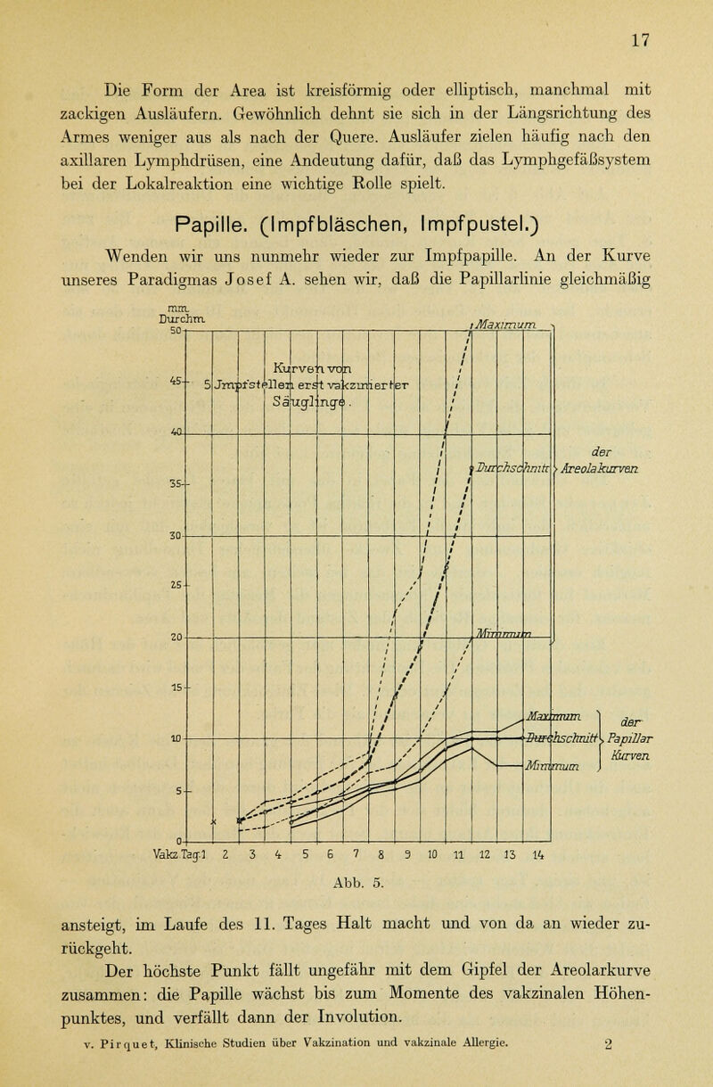 Die Form der Area ist kreisförmig oder elliptisch, manchmal mit zackigen Ausläufern. Gewöhnlich dehnt sie sich in der Längsrichtung des Armes weniger aus als nach der Quere. Ausläufer zielen häufig nach den axillaren Lymphdrüsen, eine Andeutung dafür, daß das Lymphgefäßsystem bei der Lokalreaktion eine wichtige Rolle spielt. Papille. (Impfbläschen, Impfpustel.) Wenden wir uns nunmehr wieder zur Impfpapille. An der Kurve unseres Paradigmas Josef A. sehen wir, daß die Papillarlinie gleichmäßig der • Areolakurven 'm | der £tm ■hschmtA Papillär Kurven Mimmum ) ansteigt, im Laufe des 11. Tages Halt macht und von da an wieder zu- rückgeht. Der höchste Punkt fällt ungefähr mit dem Gipfel der Areolarkurve zusammen: die Papille wächst bis zum Momente des vakzinalen Höhen- punktes, und verfällt dann der Involution. v. Pirquet, Klinische Studien über Vakzination und vakzinale Allergie. 2