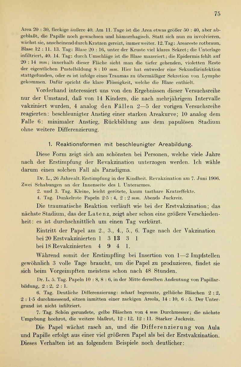 Area 20 : 30, fleckige äußere 40. Arn 11. Tage ist die Area etwas größer 50 : 40, aber ab- geblaßt, die Papille noch gewachsen und hämorrhagisch. Statt sich nun zu involvieren, wächst sie, anscheinend durch Kratzen gereizt, immer weiter. 12. Tag: Areareste rotbraun, Blase 12 : 11. 13. Tag: Blase 20 : 16, unter der Kruste viel klares Sekret; die Unterlage infiltriert, 40. 14. Tag: durch Umschläge ist die Blase mazeriert; die Epidermis fehlt auf 20 : 14 mm; innerhalb dieser Fläche sieht man die tiefer gehenden, violetten Reste der eigentlichen Pustelbildung 8 : 10 mm. Hier hat entweder eine Sekundärinfektion stattgefunden, oder es ist infolge eines Traumas zu übermäßiger Sekretion von Lymphe gekommen. Dafür spricht die klare Flüssigkeit, welche die Blase enthielt. Vorderhand interessiert uns von den Ergebnissen dieser Versuchsreihe nur der Umstand, daß von 14 Kindern, die nach mehrjährigem Intervalle vakziniert wurden, 4 analog den Fällen 2—5 der vorigen Versuchsreihe reagierten: beschleunigter Anstieg einer starken Areakurve; 10 analog dem Falle 6: minimaler Anstieg, Rückbildung aus dem papulösen Stadium ohne weitere Differenzierung. 1. Reaktionsformen mit beschleunigter Areabildung, Diese Form zeigt sich am schönsten bei Personen, welche viele Jahre nach der Erstimpfung der Revakzination unterzogen werden. Ich wähle darum einen solchen Fall als Paradigma. Dr. L., 26 Jahre alt. Erstimpfung in der Kindheit. Revakzination am 7. Juni 1906. Zwei Schabungen an der Innenseite des 1. Unterarmes. 2. und 3. Tag. Kleine, leicht gerötete, kaum tastbare Kratzeffekte. 4. Tag. Dunkelrote Papeln 2-5 : 4, 2:2 mm. Abends Juckreiz. Die traumatische Reaktion verläuft wie bei der Erstvakzination; das nächste Stadium, das der Latenz, zeigt aber schon eine größere Verschieden- heit: es ist durchschnittlich um einen Tag verkürzt. Eintritt der Papel am 2., 3., 4., 5., 6. Tage nach der Vakzination bei 20 Erstvakzinierten 1 3 13 3 1 bei 18 Revakzinierten 4 9 4 1. Während somit der Erstimpfling bei Insertion von 1—2 Impfstellen gewöhnlich 3 volle Tage braucht, um die Papel zu produzieren, findet sie sich beim Vorgeimpften meistens schon nach 48 Stunden. Dr. L. 5. Tag. Papeln 10 : 8, 8 : 6, in der Mitte derselben Andeutung von Papillär - bildung, 2:2, 2:1. 6. Tag. Deutliche Differenzierung: scharf begrenzte, gelbüche Bläschen 2 : 2, 2:1-5 durchmessend, sitzen inmitten einer zackigen Areola, 14 : 10, 6 : 5. Der Unter- grund ist nicht infiltriert. 7. Tag. Schön gerundete, gelbe Bläschen von 4 mm Durchmesser; die nächste Umgebung hochrot, die weitere blaßrot, 12 : 12, 12 : 11. Starker Juckreiz. Die Papel wächst rasch an, und die Differenzierung von Aula und Papille erfolgt aus einer viel größeren Papel als bei der Erstvakzination. Dieses Verhalten ist an folgendem Beispiele noch deutlicher: