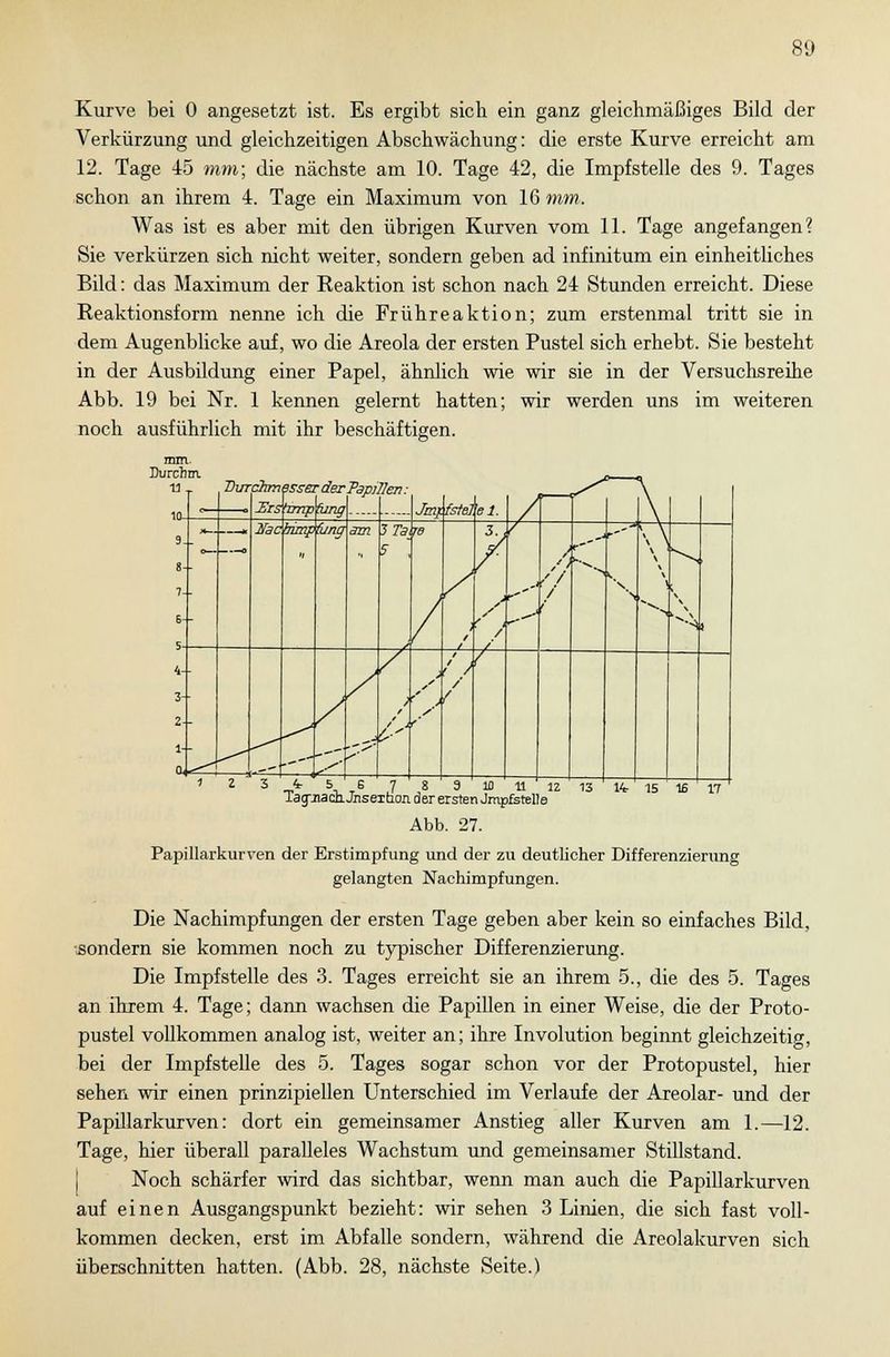 Kurve bei 0 angesetzt ist. Es ergibt sich ein ganz gleichmäßiges Bild der Verkürzung und gleichzeitigen Abschwächung: die erste Kurve erreicht am 12. Tage 45 mm; die nächste am 10. Tage 42, die Impfstelle des 9. Tages schon an ihrem 4. Tage ein Maximum von 16 mm. Was ist es aber mit den übrigen Kurven vom 11. Tage angefangen? Sie verkürzen sich nicht weiter, sondern geben ad infinitum ein einheitliches Bild: das Maximum der Reaktion ist schon nach 24 Stunden erreicht. Diese Reaktionsform nenne ich die Frühreaktion; zum erstenmal tritt sie in dem Augenblicke auf, wo die Areola der ersten Pustel sich erhebt. Sie besteht in der Ausbildung einer Papel, ähnlich wie wir sie in der Versuchsreihe Abb. 19 bei Nr. 1 kennen gelernt hatten; wir werden uns im weiteren noch ausführlich mit ihr beschäftigen. mm. Durchm. 11 r Durchmesser der Papilh i Eis imp fang 9 1D 11 12 13 li 15 16 laof-nacn. Jnsexaon der ersten Jmpfstelle Abb. 27. Papillarkurven der Erstimpfung und der zu deutlicher Differenzierung gelangten Nachimpfungen. Die Nachimpfungen der ersten Tage geben aber kein so einfaches Bild, sondern sie kommen noch zu typischer Differenzierung. Die Impfstelle des 3. Tages erreicht sie an ihrem 5., die des 5. Tages an ihrem 4. Tage; dann wachsen die Papillen in einer Weise, die der Proto- pustel vollkommen analog ist, weiter an; ihre Involution beginnt gleichzeitig, bei der Impfstelle des 5. Tages sogar schon vor der Protopustel, hier sehen wir einen prinzipiellen Unterschied im Verlaufe der Areolar- und der Papillarkurven: dort ein gemeinsamer Anstieg aller Kurven am 1.—12. Tage, hier überall paralleles Wachstum und gemeinsamer Stillstand. Noch schärfer wird das sichtbar, wenn man auch die Papillarkurven auf einen Ausgangspunkt bezieht: wir sehen 3 Linien, die sich fast voll- kommen decken, erst im Abfalle sondern, während die Areolakurven sich überschnitten hatten. (Abb. 28, nächste Seite.)