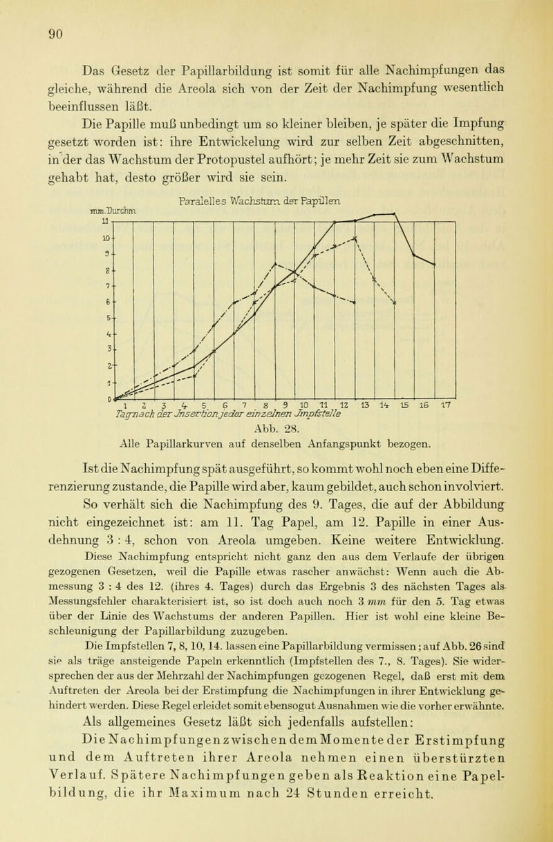 Das Gesetz der Papillarbildung ist somit für alle Nachimpfungen das gleiche, während die Areola sich von der Zeit der Nachimpfung wesentlich beeinflussen läßt. Die Papille muß unbedingt um so kleiner bleiben, je später die Impfung gesetzt worden ist: ihre Entwickelung wird zur selben Zeit abgeschnitten, in der das Wachstum der Protopustel aufhört; je mehr Zeit sie zum Wachstum gehabt hat, desto größer wird sie sein. Tiun-Durclim 11 Paralelles Wachstum, der Papillen 1 2 ~ 3 V 5 67 8 9 10 11 12 13 l<t 15 16 17 Tacrnach der Jnsertionjeder einzelnen Jmpfstelle Abb. 28. Alle Papillarkurven auf denselben Anfangspunkt bezogen. Ist die Nachimpfung spät ausgeführt, so kommt wohl noch eben eine Diffe- renzierung zustande, die Papille wird aber, kaum gebildet, auch schon involviert. So verhält sich die Nachimpfung des 9. Tages, die auf der Abbildung nicht eingezeichnet ist: am 11. Tag Papel, am 12. Papille in einer Aus- dehnung 3 :4, schon von Areola umgeben. Keine weitere Entwicklung. Diese Nachimpfung entspricht nicht ganz den aus dem Verlaufe der übrigen gezogenen Gesetzen, weil die Papille etwas rascher anwächst: Wenn auch die Ab- messung 3 : 4 des 12. (ihres 4. Tages) durch das Ergebnis 3 des nächsten Tages als Messungsfehler charakterisiert ist, so ist doch auch noch 3 mm für den 5. Tag etwas über der Linie des Wachstums der anderen Papillen. Hier ist wohl eine kleine Be- schleunigung der Papillarbildung zuzugeben. Die Impfstellen 7, 8, 10, 14. lassen eine Papillarbildung vermissen; auf Abb. 26 sind sie als träge ansteigende Papeln erkenntlich (Impfstellen des 7., 8. Tages). Sie wider- sprechen der aus der Mehrzahl der Nachimpfungen gezogenen Regel, daß erst mit dem Auftreten der Areola bei der Erstimpfung die Nachimpfungen in ihrer Entwicklung ge- hindert werden. Diese Regel erleidet somit ebensogut Ausnahmen wie die vorher erwähnte. Als allgemeines Gesetz läßt sich jedenfalls aufstellen: DieNachimpfungenzwischendemMomente der Erstimpfung und dem Auftreten ihrer Areola nehmen einen überstürzten Verlauf. Spätere Nachimpfungen geben als Reaktion eine Papel- bildung, die ihr Maximum nach 24 Stunden erreicht.