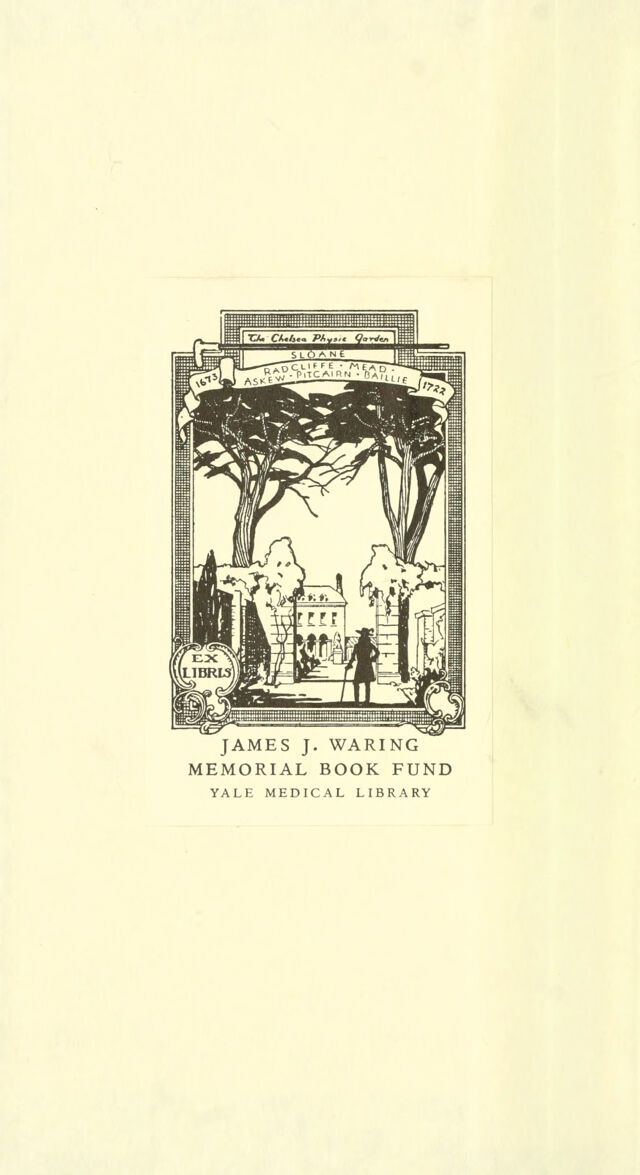 digitised image 2