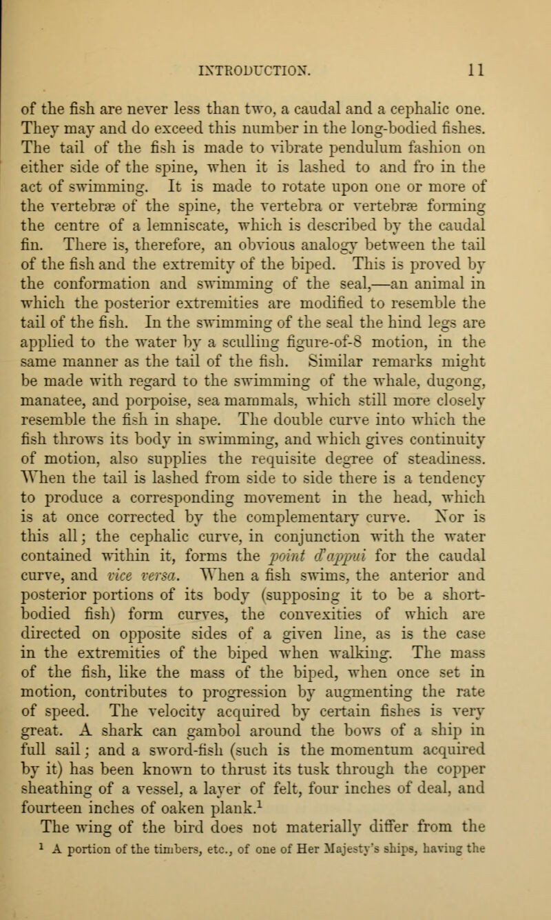 of the fish are never less than two. a caudal and a cephalic one. They may and do exceed this number in the long-bodied fishes. The tail of the fish is made to vibrate pendulum fashion on either side of the spine, when it is lashed to and fro in the act of swimming. It is made to rotate upon one or more of the vertebrae of the spine, the vertebra or vertebra forming the centre of a lemniscate, which is described by the caudal fin. There is, therefore, an obvious analog}' between the tail of the fish and the extremity of the biped. This is proved by the conformation and swimming of the seal,—an animal in which the posterior extremities are modified to resemble the tail of the fish. In the swimming of the seal the hind legs are applied to the water by a sculling figure-of-8 motion, in the same manner as the tail of the fish. Similar remarks might be made with regard to the swimming of the whale, dugong, manatee, and porpoise, sea mammals, which still more closely resemble the fi>h in shape. The double curve into which the fish throws its body in swimming, and which gives continuity of motion, also supplies the requisite degree of steadiness. When the tail is lashed from side to side there is a tendency to produce a corresponding movement in the head, which is at once corrected by the complementary curve. Xor is this all; the cephalic curve, in conjunction with the water contained within it, forms the point d'appui for the caudal curve, and vice versa. When a fish swims, the anterior and posterior portions of its body (supposing it to be a short- bodied fish) form curves, the convexities of which are directed on opposite sides of a given line, as is the case in the extremities of the biped when walking. The mass of the fish, like the mass of the biped, when once set in motion, contributes to progression by augmenting the rate of speed. The velocity acquired by certain fishes is very great. A shark can gambol around the bows of a ship in full sail; and a sword-fish (such is the momentum acquired by it) has been known to thrust its tusk through the copper sheathing of a vessel, a layer of felt, four inches of deal, and fourteen inches of oaken plank.1 The wing of the bird does not materially differ from the 1 A portion of the timbers, etc., of one of Her Majesty's ships, haviug the