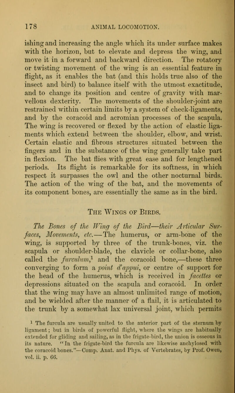 ishing and increasing the angle which its under surface makes with the horizon, but to elevate and depress the wing, and move it in a forward and backward direction. The rotatory or twisting movement of the wing is an essential feature in flight, as it enables the bat (and this holds true also of the insect and bird) to balance itself with the utmost exactitude, and to change its position and centre of gravity with mar- vellous dexterity. The movements of the shoulder-joint are restrained within certain limits by a system of check-ligaments, and by the coracoid and acromian processes of the scapula. The wing is recovered or flexed by the action of elastic liga- ments which extend between the shoulder, elbow, and wrist. Certain elastic and fibrous structures situated between the fingers and in the substance of the wing generally take part in flexion. The bat flies with great ease and for lengthened periods. Its flight is remarkable for its softness, in which respect it surpasses the owl and the other nocturnal birds. The action of the wing of the bat, and the movements of its component bones, are essentially the same as in the bird. The Wings of Birds. The Bones of the Wing of the Bird—their Articular Sur- faces, Movements, etc. — The humerus, or arm-bone of the wing, is supported by three of the trunk-bones, viz. the scapula or shoulder-blade, the clavicle or collar-bone, also called the f/rrcuhnn,1 and the coracoid bone,—these three converging to form a point d'ajyiui, or centre of support for the head of the humerus, which is received in facettes or depressions situated on the scapula and coracoid. In order that the wing may have an almost unlimited range of motion, and be wielded after the manner of a flail, it is articulated to the trunk by a somewhat lax universal joint, which permits 1 The furcnla are usually united to the anterior part of the sternum Ly ligament; but in birds of powerful flight, where the wings are habitually extended for gliding and sailing, as in the frigate-bird, the union is osseous in its nature. In the frigate-bird the furcula are likewise anchylosed with the coracoid bones.—Comp. Anat. and Phys. of Vertebrates, by Prof. Owen, vol. ii. p. Co'.