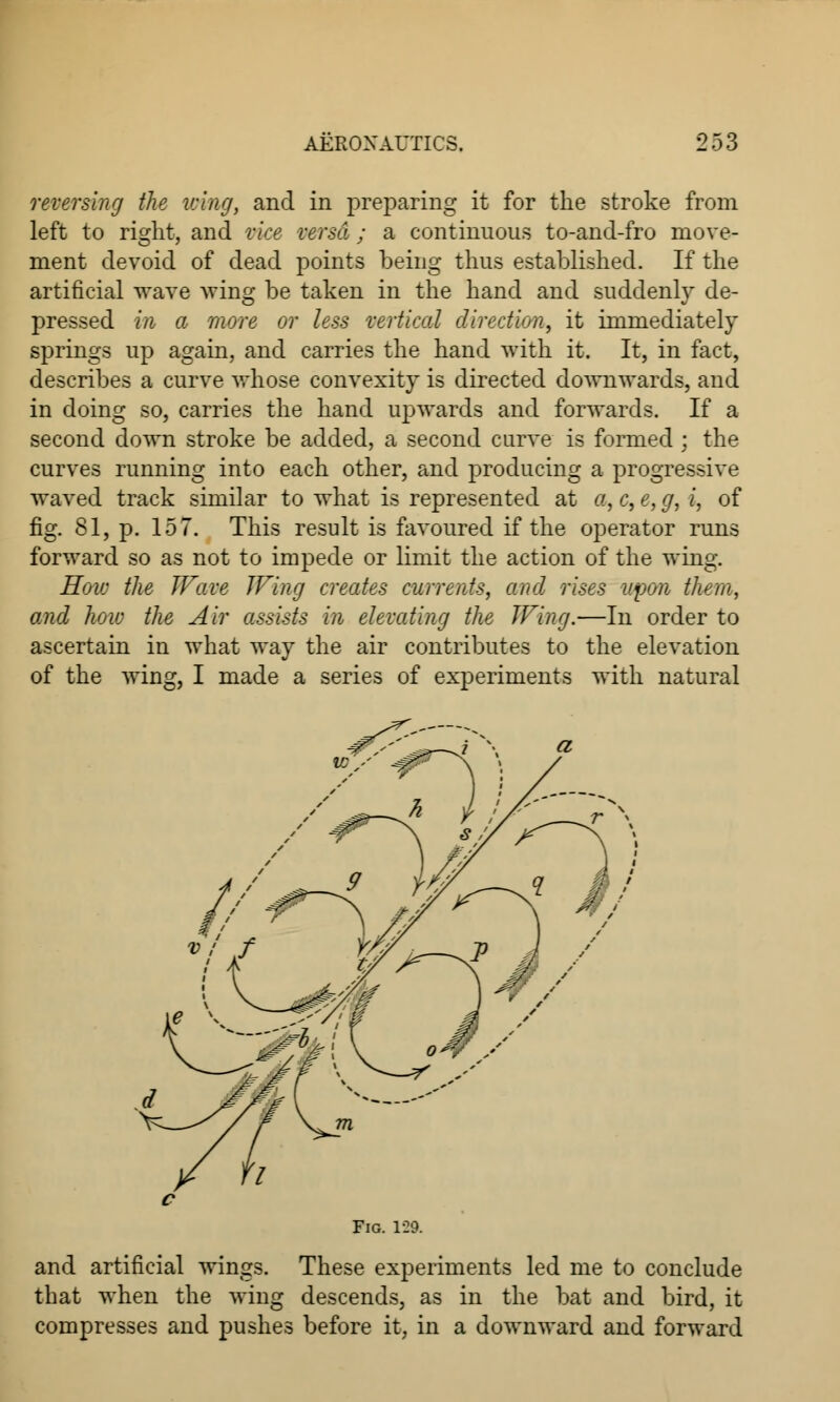 reversing the icing, and in preparing it for the stroke from left to right, and vice versa; a continuous to-and-fro move- ment devoid of dead points being thus established. If the artificial wave wing be taken in the hand and suddenly de- pressed in a more or less vertical direction, it immediately springs up again, and carries the hand with it. It, in fact, describes a curve whose convexity is directed downwards, and in doing so, carries the hand upwards and forwards. If a second down stroke be added, a second carve is formed ; the curves running into each other, and producing a progressive waved track similar to what is represented at a, c, e, g, i, of fig. 81, p. 157. This result is favoured if the operator runs forward so as not to impede or limit the action of the wing. How the Wave Wing creates currents, and rises upon them, and how the Air assists in elevating the Wing.—In order to ascertain in what way the air contributes to the elevation of the wing, I made a series of experiments with natural Fig. 1-29. and artificial wings. These experiments led me to conclude that when the wing descends, as in the bat and bird, it compresses and pushes before it, in a downward and forward