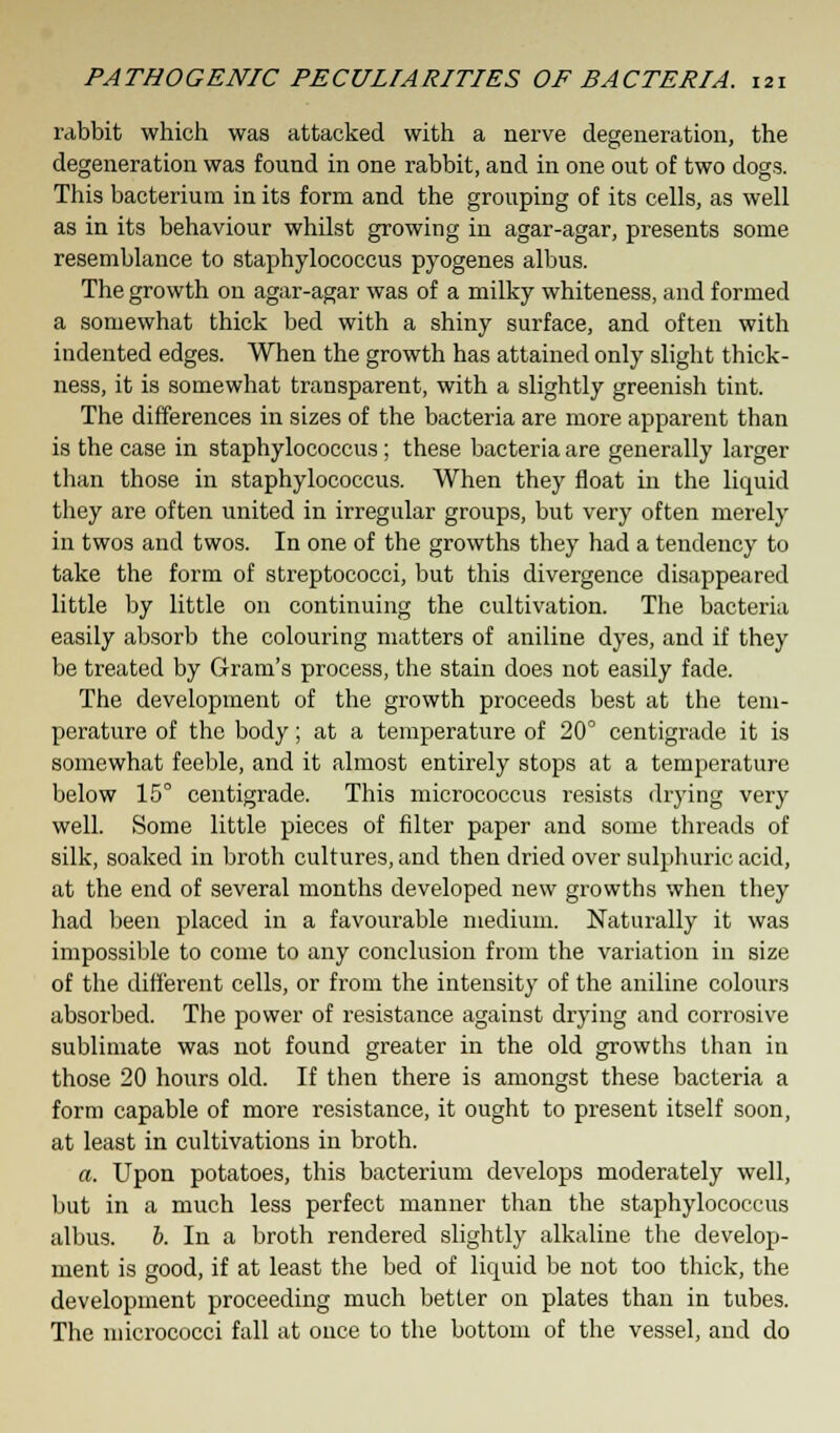 rabbit which was attacked with a nerve degeneration, the degeneration was found in one rabbit, and in one out of two dogs. This bacterium in its form and the grouping of its cells, as well as in its behaviour whilst growing in agar-agar, presents some resemblance to staphylococcus pyogenes albus. The growth on agar-agar was of a milky whiteness, and formed a somewhat thick bed with a shiny surface, and often with indented edges. When the growth has attained only slight thick- ness, it is somewhat transparent, with a slightly greenish tint. The differences in sizes of the bacteria are more apparent than is the case in staphylococcus; these bacteria are generally larger than those in staphylococcus. When they float in the liquid they are often united in irregular groups, but very often merely in twos and twos. In one of the growths they had a tendency to take the form of streptococci, but this divergence disappeared little by little on continuing the cultivation. The bacteria easily absorb the colouring matters of aniline dyes, and if they be treated by Gram's process, the stain does not easily fade. The development of the growth proceeds best at the tem- perature of the body; at a temperature of 20° centigrade it is somewhat feeble, and it almost entirely stops at a temperature below 15° centigrade. This micrococcus resists drying very well. Some little pieces of filter paper and some threads of silk, soaked in broth cultures, and then dried over sulphuric acid, at the end of several months developed new growths when they had been placed in a favourable medium. Naturally it was impossible to come to any conclusion from the variation in size of the different cells, or from the intensity of the aniline colours absorbed. The power of resistance against drying and corrosive sublimate was not found greater in the old growths than in those 20 hours old. If then there is amongst these bacteria a form capable of more resistance, it ought to present itself soon, at least in cultivations in broth. a. Upon potatoes, this bacterium develops moderately well, but in a much less perfect manner than the staphylococcus albus. b. In a broth rendered slightly alkaline the develop- ment is good, if at least the bed of liquid be not too thick, the development proceeding much better on plates than in tubes. The micrococci fall at once to the bottom of the vessel, and do