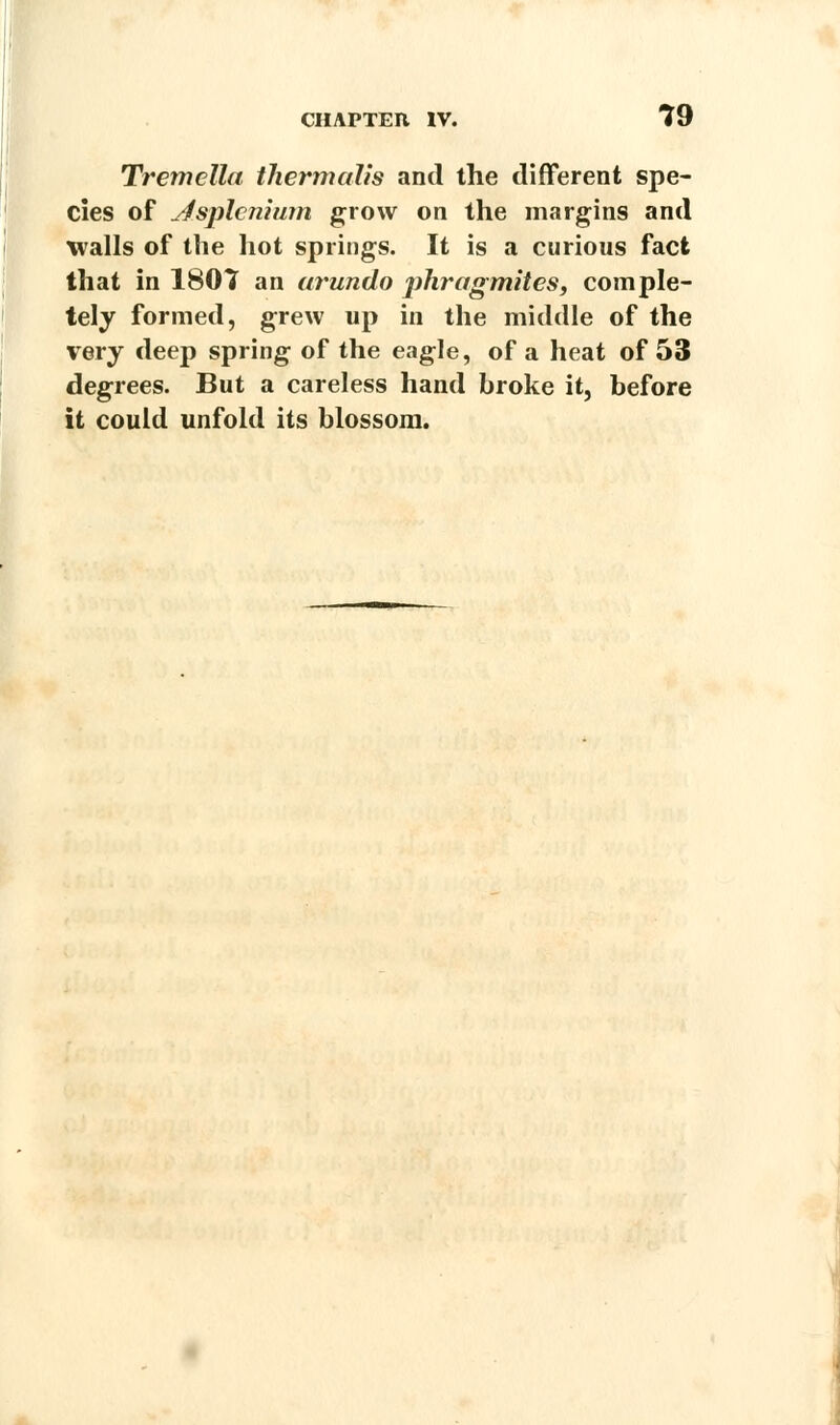 Tremclla thermalis and the different spe- cies of Asplenium grow on the margins and walls of the hot springs. It is a curious fact that in 1807 an arundo jrfiragmites, comple- tely formed, grew up in the middle of the very deep spring of the eagle, of a heat of 53 degrees. But a careless hand broke it, before it could unfold its blossom.