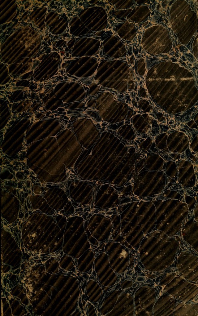 digitised image 1
