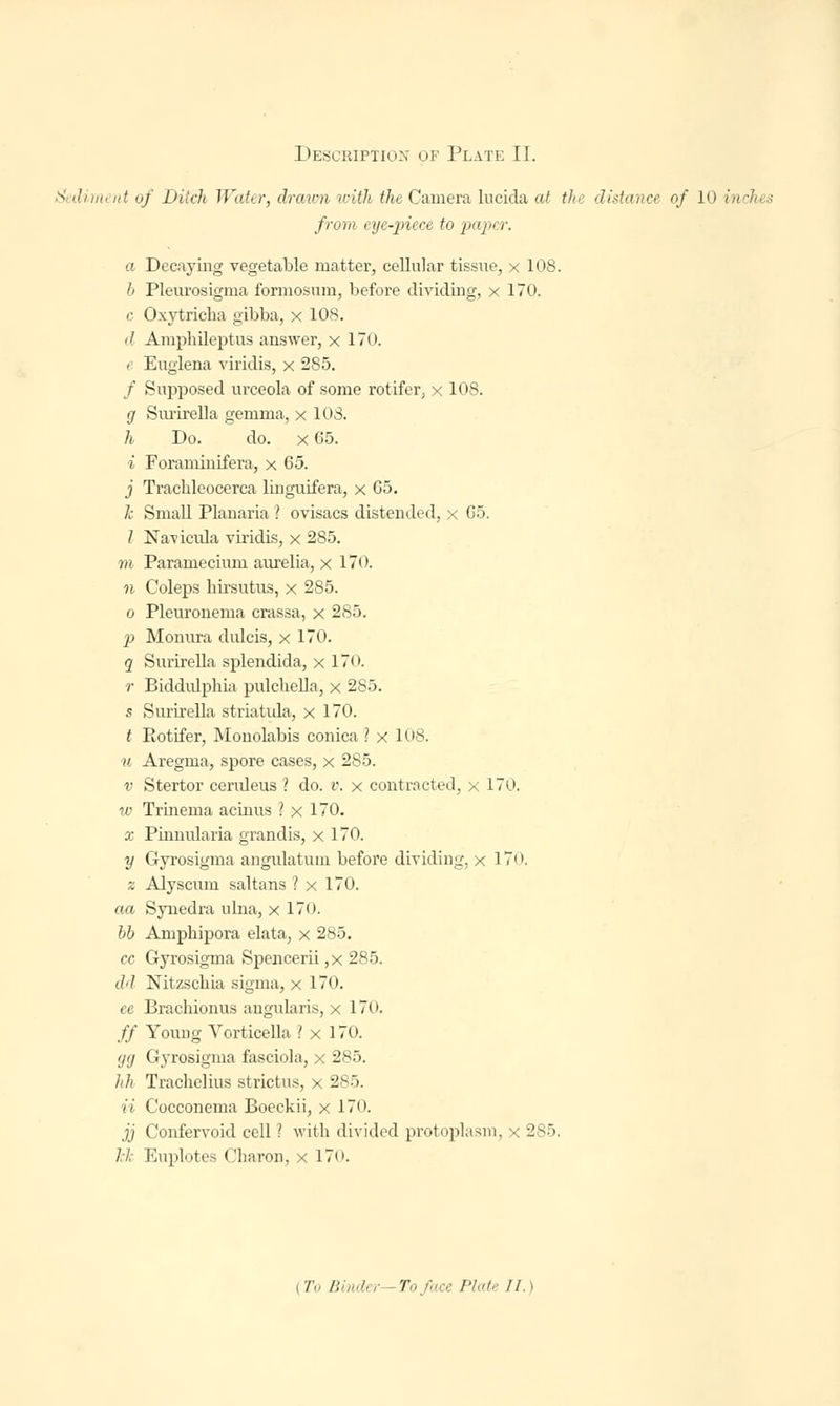 Sediment of Ditch Water, drawn with the Camera lucida at the distance of I<» i from eye-piece to papt r. a Decaying vegetable matter, cellular tissue, x 108. b Pleurosigma formosum, before dividing, x 170. c Oxytricha gibba, x 108. <> Amphileptus answer, x 170. e Euglena viridis, x 285. / Supposed urceola of some rotifer, x 108. g Surirella gemma, x 103. h Do. do. x65. ■i Foraminifera, x 65. j Trachleocerca linguifera, x 05. k Small Planaria ? ovisacs distended, x Go. / Navicula viridis, x 285. m Paramecium aurelia, x 170. n Coleps hirsutus, x 285. o Pleuronema crassa, x 285. p Monura dulcis, x 170. q Surirella splendida, x 170. r Biddulphia pulchella, x 285. s Surirella striatida, x 170. t Eotifer, Monolabis conica ? x 108. u Aregma, spore cases, x 285. v Stertor cendeus ? do. v. x contracted, x 170. w Trinema acinus ? x 170. x Pinnidaria grandis, x 170. y Gyrosigma angulatum before dividing, x 170. z Alyscixm saltans ? x 170. aa Synedra ulna, x 170. bb Amphipora elata, x 285. cc Gyrosigma Spencerii ,x 285. (/'/ Nitzschia sigma, x 170. ee Brachionus angularis, x 170. ff Young Vorticella ? x 170. (j(j Gyrosigma fasciola, x 285. hh Trachelius strictus, x 285. ii Cocconema Boeckii, x 170. jj Confervoid cell ? with divided protoplasm, x 285. /,/.• Euplotes Charon, x 170. I y,, Binder To face Plati II. I