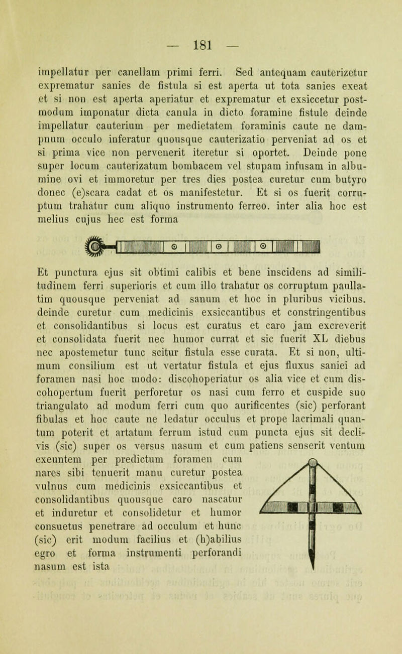 impellatur per canellam primi ferri. Sed antequam eauterizetnr exprematur sanies de fistnla si est aperta ut tota sanies exeat et si non est aperta aperiatur et exprcmatur et exsiccetur post- modum imponatur dicta canula in dicto foramine fistule deinde impellatur cauterium per medietatem foraminis caute ne dam- pnum occulo inferatur quonsque canterizatio perveniat ad os et si prima vice non pervenerit iteretur si oportet. Deiude pone super locum cauterizatum bombacem vel stupam infusam in albu- mine ovi et immoretur per tres dies postea curetur cum butyro donec (e)scara cadat et os manifestetur. Et si os fuerit corru- ptum trahatur cum aliquo instrumento ferreo. inter alia hoc est melius cujus hec est forma Et punctura ejus sit obtimi calibis et bene inscidens ad simili- tudinem ferri superioris et cum illo trahatur os corruptum paulla- tim quousque perveniat ad sanum et hoc in pluribus vicibus. deinde curetur cum medicinis exsiccantibus et constringentibus et consolidantibus si locus est curatus et caro jam excreverit et consolidata fuerit nec humor currat et sic fuerit XL diebus nec apostemetur tunc scitur fistula esse curata. Et si non, ulti- mum consilium est ut vertatur fistula et ejus fluxus saniei ad foramen nasi hoc modo: discohoperiatur os alia vice et cum dis- cohopertum fuerit perforetur os nasi cum ferro et cuspide suo triangulato ad modum ferri cum quo aurificentes (sic) perforant fibulas et hoc caute ne ledatur occulus et prope lacrimali quan- tum poterit et artatum ferrum istud cum puncta ejus sit decli- vis (sic) super os versus nasum et cum patiens senserit ventum exeuntem per predictum foramen cum nares sibi tenuerit manu curetur postea vulnus cum medicinis exsiccantibus et consolidantibus quousque caro nascatur et induretur et consolidetur et humor consuetus penetrare ad occulum et hunc (sic) erit modum facilius et (h)abilius egro et forma instrumenti perforandi nasum est ista