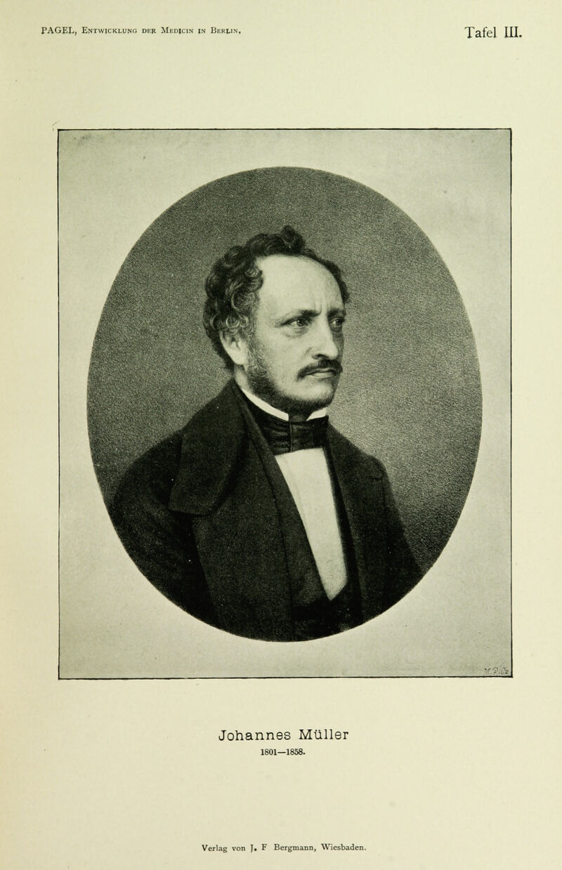 Johannes Müller 1801—1858. Verlag von ]• F Bergmann, Wiesbaden.