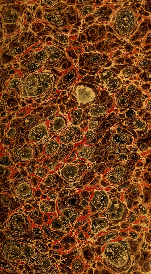 No text description is available for this image