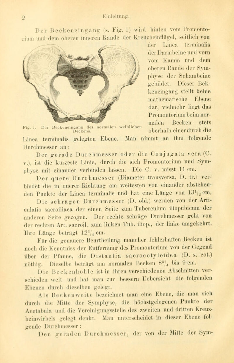 Ein itunj Der B lormalen weiblichen Der Beckeneingang s. Fig. 1) wird hinten vom Promonto- rium und dem oberen inneren Rande der Kreuzbeinflügel, seitlich von der Linea terminalis der Darmbeine und vorn vom Kamm und dem oberen Rande der Sym- physe der Schambeine gebildet. Dieser Bek- keneingang stellt keine mathematische Ebene dar. vielmehr liegt das Promontorium beim nor- malen Becken stets oberhalb einer durch die Linea terminalis gelegten Ebene. Man nimmt an ihm folgende Durchmesser an : Der gerade Durchmesser oder die Conjugata vera (('. v. , ist die kürzeste Linie, durch die sich Promontorium und Sym- physe mit einander verbinden lassen. Die C. v. misst Hein. Der quere Durchmesser (Diameter transversa, 1). tr.) ver- bindet die in querer Richtung am weitesten von einander abstehen- den Punkte der Linea terminalis und hat eine Länge von 131 ,, ein. Die schrägen Durchmesser (D. obl.) werden von der Arti- culatio sacroiliaca der einen Seite zum Tuberculum iliopubicum der anderen Seite gezogen. Der rechte schräge Durchmesser gehl von der rechten Art. sacroil. zum linken Tub. iliop., der linke umgekehrt. Ihre Länge beträgt 1-; , cm. Für die genauere Beurtheilung mancher fehlerhaften Becken ist noch die Kenntniss der Entfernung des Promontorium von der Gegend über (\rv Pfanne, die Distantia sacrocotyloidea (D. s. cot.) nöthig. Dieselbe beträgt am normalen Becken 8B , bis 9 cm. Die Beckenhöhle ist in ihren verschiedenen Abschnitten ver- schieden weit und hat man zur bessern l'ebersieht die folgenden Ebenen durch dieselben gelegt. Als Beckenweite bezeichnet man eine Ebene, die man sich durch die Mitte der Symphyse, die höchstgelegenen Punkte der Acetabula und die Vereinigungsstelle des zweiten und dritten Kreuz- beinwirbels gelegt denkt. Mau unterscheidet in dieser Ebene fol- gende I Durchmesser! Den geraden Durchmesser, der von der Mitte der Sym-