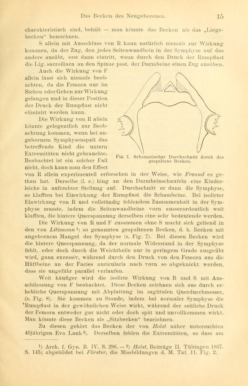 Fig. Schematischer Durchschnitt durch das gespaltene Becken. charakteristisch sind, behält — man könnte das Becken als dae „Lii hecken bezeichnen. S allein mit Ausschluss von 1! kann natürlich niemals zur Wirkung kommen, da der Zug, den jedes Seitenwandbein in der Symphyse auf das andere ausübt, ersl dann eintritt, wenn durch den Druck der Rumpflast die Lig. sacroiliaca an den Spinae post. der Darmbeine einen Zug ausüben. Auch die Wirkung von 1 allein lässt sieh niemals beob- achten, da die Femora nur im Stehen oder Gehen zur Wirkung gelangen und in dieser Position der Druck der Rumpflast nicht eliminirt werden kann. Die Wirkung von R allein kannte gelegentlich zur Beob- achtung kommen, wenn bei an- gebornem Symphysenspalt das betreffende Kind die untern Extremitäten nicht gebrauchte. Beobachtet ist ein solcher Fall nicht, doch kann man den Effect von R allein experimentell erforschen in der Weise, wie Freund es ge- than hat. Derselbe (1. c.) hing an den Darmbeinschaufeln eine Kinder- leiche in aufrechter Stellung auf. Durchschnitt er dann die Symphyse, so klafften bei Einwirkung der Rumpflast die Schambeine. Bei isolirter Einwirkung von R und vollständig fehlendem Zusammenhalt in der Sym- physe musste, indem die Seitenwandbeine vorn ausserordentlich weit klafften, die hintere Querspannung derselben eine sehr bedeutende werden. Die Wirkung von R und F zusammen ohne S macht sich geltend in den von Litzmann1) so genannten gespaltenen Becken, d. h. Becken mit angebornem Mangel der Symphyse (s. Fig. 7). Bei diesen Becken wird die hintere Querspannung, da der normale Widerstand in der Symphyse fehlt, oder doch durch die Weichtheile nur in geringem Grade ausgeübt wird, ganz excessiv, während durch den Druck von den Femora aus tue Hüftbeine an der Facies auricularis nach vorn so abgeknickt werden, dass sie ungefähr parallel verlaufen. Weit häufiger wird die isolirte Wirkung von R und S mit Aus- schliessung von F beobachtet. Diese Becken zeichnen sich aus durch er- hebliche Querspannung mit Abplattung im sagittalen Querdurchmesser; (s. Fig. 8). Sie kommen zu Stande, indem bei normaler Symphyse die 'Rumpflast in der gewöhnlichen Weise wirkt, während der seitliche Druck der Femora entweder gar nicht oder doch spät und unvollkommen wirkt. Man könnte diese Becken als „Sitzbecken bezeichnen. Zu diesen gehört das Becken der von Holst näher untersuchten 40jährigen Eva Lank-). Derselben fehlen die Extremitäten, so dass am 'i Aren. f. Gyn. B. IV. S. 296. — *) Holst Beiträge II. Tübingen 1867. s. lif); abgebildet bei Förster^ die Missbildungen d. M. Tat. LI.