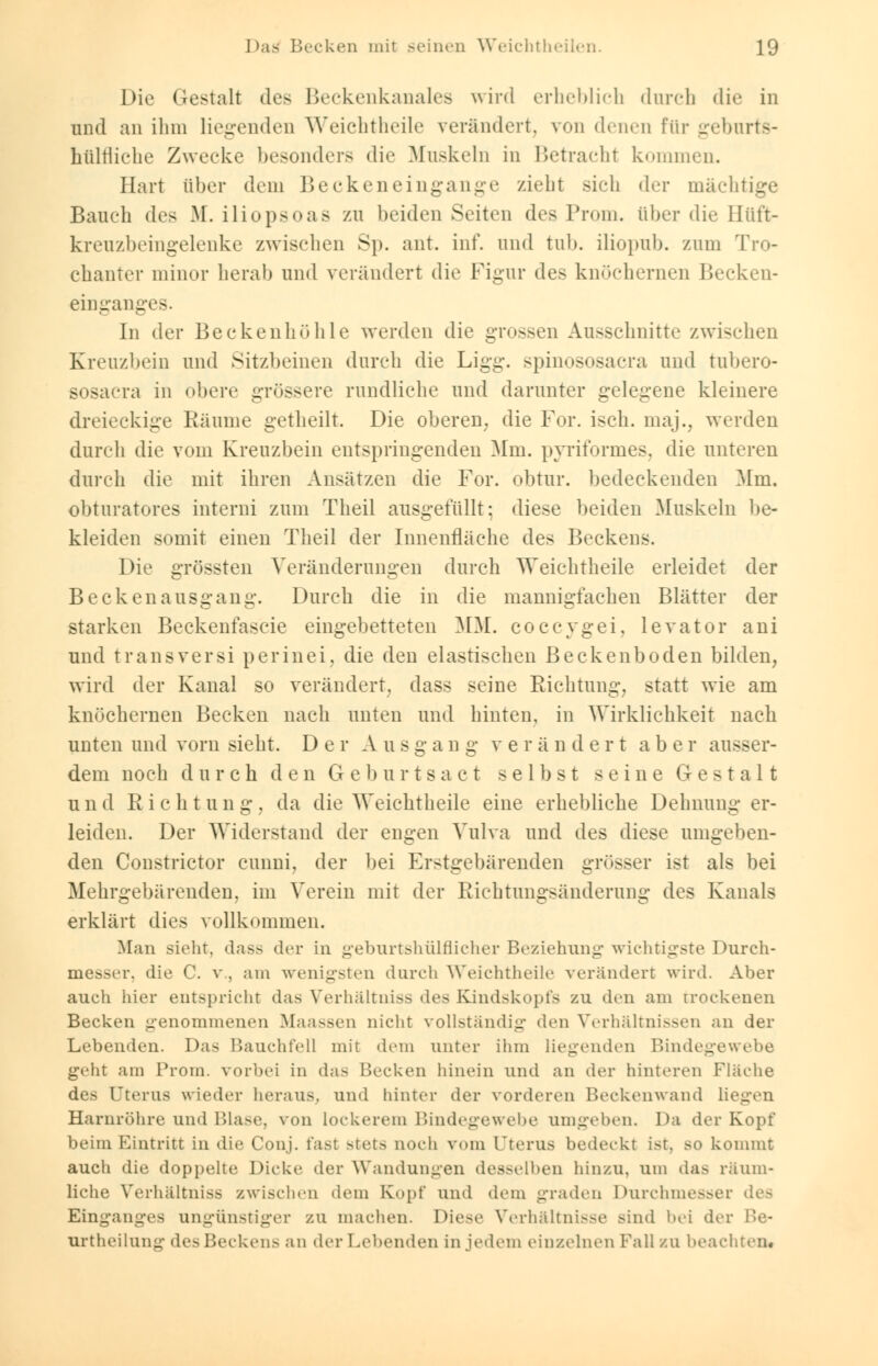 Die Gestalt des Beckenkanales wird erheblich durch die in und an ihm liegenden Weichtheile verändert, von denen für geburts- hülfliche Zwecke besonders die Muskeln in Betracht kommen. Hart über dem Beckeneingange ziehl sich der mächtige Bauch dv< M. iliopsoas zn beiden Seiten des Prom. über die Hiit't- krenzbeingelenke zwischen Sp. ant. int', und tnb. iliopub. zum Tro- chanter minor herab und verändert die Figur des knöchernen Becken- einganges. In der Beckenhöhle werden die grossen Ausschnitte zwischen Kreuzbein und Sitzbeinen durch die Ligg. spinososacra und tubero- sosacra in obere grössere rundliehe und darunter gelegene kleinere dreieckige Räume getheilt. Die oberen, die For. isch. maj., werden durch die vom Kreuzbein entspringenden Mm. pyriformes, die unteren durch die mit ihren Ansätzen die For. obtur. bedeckenden Mm. obturatores interni zum Theil ausgefüllt: diese beiden Muskeln be- kleiden somit einen Theil der Innenfläche des Beckens. Die grössten Veränderungen durch Weichtheile erleidet der Beckenausgang. Durch die in die mannigfachen Blätter der starken Beckenfascie eingebetteten MM. coecygei, levator ani und transversi perinei, die den elastischen Beckenboden bilden, wird der Kanal so verändert, dass seine Richtung, statt wie am knöchernen Becken nach unten und hinten, in Wirklichkeit nach unten und vorn sieht. Der A u s g a n g v e r ä nder t a b e r ausser- dem noch durch den Geburtsact selbst seine Gestalt u n d R i c h t u n g . da die Weichtheile eine erhebliche Dehnung er- leiden. Der Widerstand der engen Vulva und des diese umgeben- den Constrictor eunni, der bei Erstgebärenden grösser ist als bei Mehrgebärenden, im Verein mit der Richtungsänderung des Kanals erklärt dies vollkommen. Man sieht, das> der in geburtshilflicher Beziehung wichtigste Durch- messer, die C. v, am wenigsten durch Weichtheile verändert wird. Aber auch hier entspricht das Verhältnis des Kindskopfs zu den am trockenen Becken genommenen Maassen nicht vollständig den Verhältnissen an der Lebenden. Das Bauchfell mir dem unter ihm liegenden Bindegewebe gelit am Prom. vorbei in das Becken hinein und an der hinteren Fläche des Uterus wieder heraus, und hinter der vorderen Beckenwand liegen Harnröhre und Blase, von Lockerem Bindegewebe umgeben. Da der Kopf beim Eintritt in die Con.j. fast stets noch vom Uterus bedeckt ist, so kommt auch die doppelte Dicke der Wandungen desselben hinzu, um das räum- liche Verhältniss zwischen dem Kopf und dem graden Durchmesser des Einganges ungünstiger zu machen. Diese Verhältnisse Bind bei der l'e- nrtheilung desBecken> an der Lebenden in jedem einzelnen Fall zu beachten.