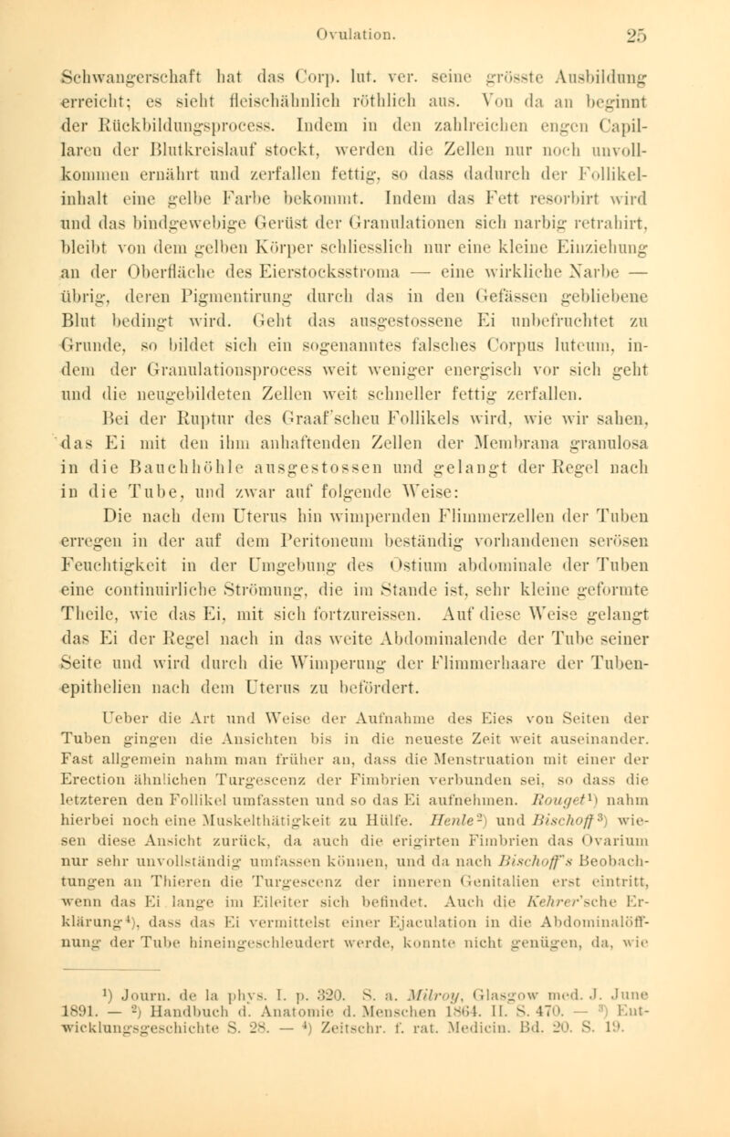 Schwangerschaft hat das Corp. lut. vor. seine grösste Ausbildung erreicht: es sieht fleischähnlich röthlich aus. Von da an beginnt der Rückbildungsprocess. Indem in den zahlreichen engen Capil- laren der Blutkreislauf stockt, werden die Zellen nur noch unvoll- kommen ernährt und zerfallen fettig, so dass dadurch der Follikel- inhalt eine gelbe Farbe bekommt. Indem das Fett resorbirt wird und das bindgewebige Gerüst (\yv Granulationen sich narbig retrahirt, bleibt von dem gelben Körper schliesslich nur eine kleine Einziehung an der Oberfläche des Eierstocksstroma — eine wirkliche Narbe — übrig, deren Pigmentirung durch das in den Gefassen gebliebene Blut bedingt wird. Geht das ansgestossene Ei unbefruchtet zu Grunde, so bildet sich ein sogenanntes falsches Corpus luteum, in- dem der Granulationsprocess weit weniger energisch vor sich geht und die neugebildeten Zellen weit schneller fettig zerfallen. Bei der Ruptur des Graafschen Follikels wird, wie wir sahen, das Ei mit den ihm anhaftenden Zellen der Membrana granulosa in die Bauchhöhle ausgestoßen und gelangt der Regel nach in die Tube, und zwar auf folgende Weise: Die nach dem Uterus hin wimpernden Flimmerzellen der Tuben erregen in der auf dem Peritoneum beständig vorhandenen serösen Feuchtigkeit in der Umgebung des Ostium abdominale der Tuben eine continuirliche Strömung, die im Stande ist. sehr kleine geformte Theile, wie das Ei, mit sich fortzureissen. Auf diese Weise gelangt das Ei der Regel nach in das weite Abdominalende der Tube seiner Seite und wird durch die Wimperung der Flimmerhaare der Tuben- epithelien nach dem Uterus zu betordert. üeber die Art und Weise der Aufnahme des Eies vou Seiten der Tuben gingen die Ansichten bis in die neueste Zeit weit auseinander. Fast allgemein nahm man früher an, dass die Menstruation mit einer der Erection ähnlichen Turgescenz der Fimbrien verbunden sei. so dass die letzteren den Follikel umfassten und so das Ei aufnehmen. Eouget1) nahm hierbei noch eine Muskelthätigkeit zu Hülfe. Heule'1 und Bischoff 8 wie- sen diese Ansicht zurück, da auch die erigirten Fimbrien das Ovarium nur sehr unvollständig umfassen können, und da nach Bischoffs Beobach- tungen an Thieren die Turgescenz der inneren Genitalien erst eintritt, wenn das Ei lange im Eileiter sich befindet. Auch die Kehrer'sche Er- klärung4), dass das Ei vermittelst einer Ejaculation in die Abdominalöff- nung der Tube hineingeschleudert werde, konnte nicht genügen, da, wie l) Journ. de la phvs. I. p. 320. S. a. Milroy^ Glasgow med. .1. June 1891. — -, Handbuch d. Anatomie d. Menschen 1864. II. S. 470. Ent- wicklungsgeschichte - _- — *) Zeitschr. f. rat. Medicin. Bd. 20. S. 19.