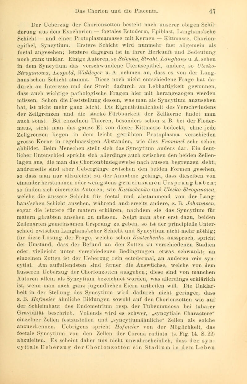 Der Ueberzug der Chorionzotten besteht nach unserer obigen Schil- derung aus dem Exochorion — foetales Ectoderm, Epiblast, Langhans'sche Schicht — und einer Protoplasmamasse mit Kernen — £ittmasse, Chorion- epithel, Syncytium. Erstere Schiclit wird nunmehr fast allgemein als foetal angesehen; letztere dagegen ist in ihrer Herkunft und Bedeutung noch ganz unklar. Einige Autoren, so Selenka, Strahl, Langhans u. A. sehen in dem Syncvtium das verschwundene Uterusepithel, andere, so Ulesko- Stroyanoica, Leopold, Waldeyer u. A. nehmen an, dass es von der Lang- hans'schen Schicht stammt. Diese noch nicht entschiedene Frage hat da- durch an Interesse und der Streit dadurch an Lebhaftigkeit gewonnen, dass auch wichtige pathologische Fragen hier mit herangezogen werden müssen. Schon die Feststellung dessen, was man als Syncytium anzusehen hat, ist nicht mehr ganz leicht. Die Eigenthümlichkeit des Verschwindens der Zellgrenzen und die starke Färbbarkeit der Zellkerne findet man auch sonst. Bei einzelnen Thieren, besonders schön z. B. bei der Fleder- maus, sieht man das ganze Ei von dieser Kittmasse bedeckt, ohne jede Zellgrenzen liegen in dem leicht getrübten Protoplasma verschieden grosse Kerne in regelmässigen Abständen, wie dies Frommel sehr schön abbildet. Beim Menschen stellt sich das Syncvtium anders dar. Ein deut- licher Unterschied spricht sich allerdings auch zwischen den beiden Zellen- lagen aus, die man das Chorionbindegewebe nach aussen begrenzen sieht; andrerseits sind aber Uebergänge zwischen den beiden Formen gesehen, so dass man nur allzuleicht zu der Annahme gelangt, dass dieselben von einander herstammen oder wenigstens gemeinsamen Ursprung haben; so finden sich einerseits Autoren, wie Eastschenko und Ulesko-Stroganoiva, welche die äussere Schicht für foetal und abstammend von der Lang- hans'schen Schicht ansehen, während andrerseits andere, z. B. Johannsen, sogar die letztere für matern erklären, nachdem sie das Syncytium für matern glaubten ansehen zu müssen. Neigt man aber erst dazu, beiden Zellenarten gemeinsamen Ursprung zu geben, so ist der principielle Unter- schied zwischen Langhans'scher Schicht und Syncytium nicht mehr nöthig; für diese Lösung der Frage, welche schon Kastschenko aussprach, spricht der Umstand, dass der Befund an den Zotten zu verschiedenen Stadien oder vielleicht unter verschiedenen Bedingungen etwas schwankt; an einzelnen Zotten ist der Ueberzug rein ectodermal, an anderen rein syn- cytial. Am aulfallendsten .sind ferner die Auswüchse, welche von dem äusseren Ueberzug der Chorionzotten ausgehen; diese sind von manchen Autoren allein als Syncytium bezeichnet worden, was allerdings erklärlich ist. wenn man nach ganz jugendlichen Eiern urtheilen will. Die Unklar- heit in der Stellung des Syncytium wird dadurch nicht geringer, dass z. B. Hofmeier ähnliche Bildungen sowohl auf den Chorionzotten wie auf der Schleimhaut des Endometrium resp. der Tubenmucosa bei tubarer Gravidität beschrieb. Vollends wird es schwer, „syncytiale Charactere einzelner Zellen festzustellen und ..-> ncytiuniähnliche Zellen als solche anzuerkennen. Uebrigens Bpricht Hofmeier von der Möglichkeit, das foetale Syncytium von den Zellen der Corona radiata (s. Fig. 14. S. 22 abzuleiten. Es scheint daher uns nicht unwahrscheinlich, dass der syn- cytiale Ueberzug der Chorionzotten ein Stadium in dem Leben