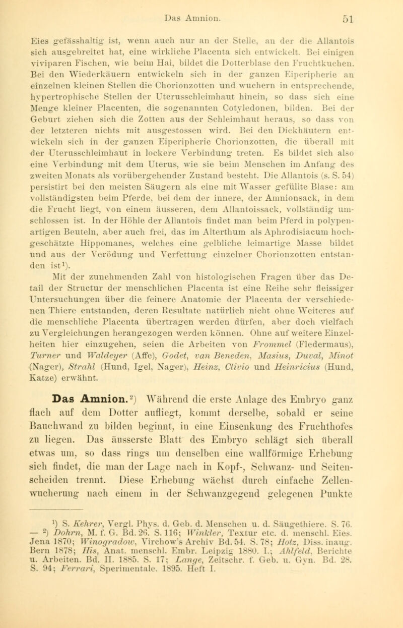 - gefässhaltig ist, wenn auch nur an «In- Stelle, an der die Allantois sich ausgebreitet hat, eine wirkliche Placenta sich entwickelt. Bei einigen viviparen Fischen, wie beim Hai, bildet die Dotterblase den Prachtkuchen. Bei den Wiederkäuern entwickeln sich in der ganzen Eiperipherie an einzelnen kleinen Stellen die Chorionzotten und wuchern in entsprechende, hypertrophische Stellen der Uterusschleimhaut hinein, so dass sich eine Menge kleiner Placenten, die sogenannten Cotyledonen, bilden. Bei der Geburt ziehen sich die Zotten aus der Schleimhaut heraus, so dass von der letzteren nichts mit ausgestossen wird. Bei den Dickhäutern ent- wickeln sich in der ganzen Eiperipherie Chorionzotten, die überall mit der Uterussehleimhaut in lockere Verbindung treten. Es bildet sich also eine Verbindung mit dem Uterus, wie sie beim Menschen im Anfang des zweiten Monat- als vorübergehender Zustand besteht. Die Allantois (s. S. öl persistirt bei den meisten Säugern als eine mit Wasser gefüllte Blase: am vollständigsten beim Pferde, bei dem der innere, der Amnionsack, in dem die Frucht liegt, von einem äusseren, dem Allantoissack, vollständig um- schlossen ist. In der Höhle der Allantois findet man beim Pferd in polypen- artigen Beuteln, aber auch frei, das im Alterthum als Aphrodisiacum hoch- lätzte Hippomanes, welches eine gelbliche leimartige Masse bildet und aus der Verödung und Verfettung einzelner Chorionzotten entstan- den ist1). Mit der zunehmenden Zahl von histologischen Fragen über das De- tail der Structur der menschlichen Placenta ist eine Reihe sehr fleissiger Untersuchungen über die feinere Anatomie der Placenta der verschiede- nen Thiere entstanden, deren Resultate natürlich nicht ohne Weiteres auf die menschliche Placenta übertragen werden dürfen, aber doch vielfach zu Vergleichungen herangezogen werden können. Ohne auf weitere Einzel- heiten hier einzugehen, seien die Arbeiten von Frommel (Fledermau- . Turner und Waldeyer (Affe), Godet, ran Beneden. Masius, Dural, Minot (Nager), Strahl (Hund, Igel, Nager), Heinz, Clirio und Heinricius (Hund, Katze) erwähnt. Das Amnion.2) Während die erste Anlage des Embryo ganz flach auf dem Dotter aufliegt, kommt derselbe, sobald er seine Bauchwand zu bilden beginnt, in eine Einsenkung des Frachthofes zu liegen. Das änsserste Blatt des Embryo sehlägt sich überall etwas um, so dass rings am denselben eine waüförmige Erhebung sicli findet, die man der Lage nach in Kopf-, Schwanz- und Seiten- scheiden trennt. Diese Erhebung wächst durch einfache Zellen- wucherung nach einem in der Schwanzgegend gelegenen Punkte !) s. Kehrer, Vergl. Phys. d. (ich. d. Menschen u. d. Säugethiere. S — 2) Dohrn, M. f. <;. Bd.26. S. 116; Winkler, Textur etc. d. menschl. Eies. Jena 1870; Winogradow, Virchow's Archiv Bd. 54. S.78; Hotz, Diss. inaug. Bern 1878; His, Anat. menschl. Embr. Leipzig 1880. I.; Ahlfeld, Berichte u. Arbeiten. Bd. II. 1885. S. IT: Lange, Zeitschr. f. (ich. u. Gyn. IM 28. S. 94; /■'> i■•/■»//•/'. Sperimentale. L895. Heft 1.